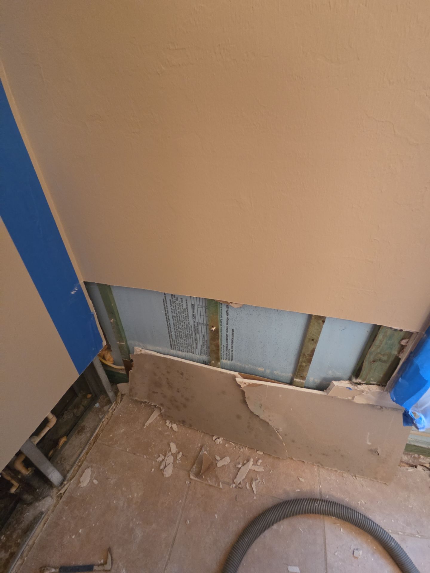Fort Myers Water Damage Restoration and Professional Mold Remediation by Microscope
