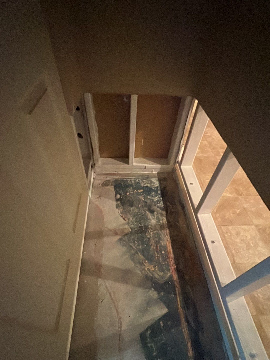 Mold Damage by Accountable Home Services