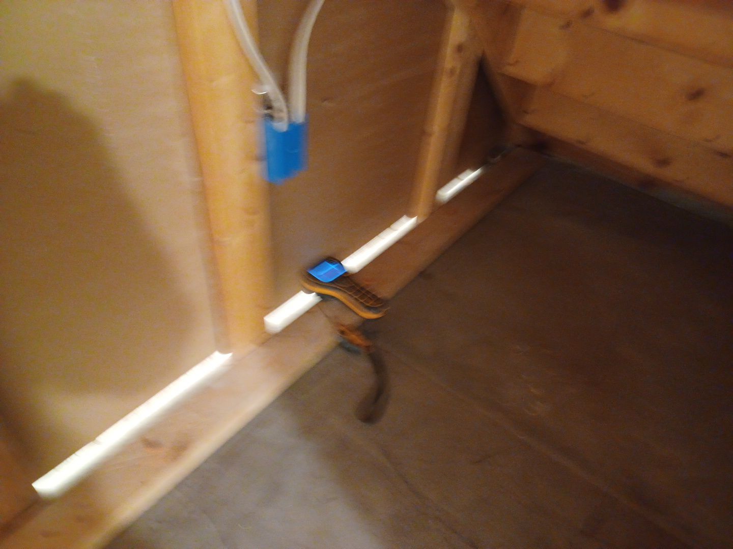 Project in Commerce Twp by EzDry Water Mitigation & Property Restoration