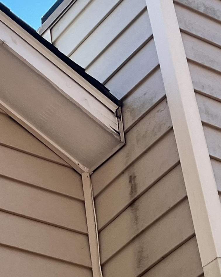 Window, Siding, & Rotten Wood Replacement with Exterior Painting in Woodstock, GA by Nelson Exteriors 
