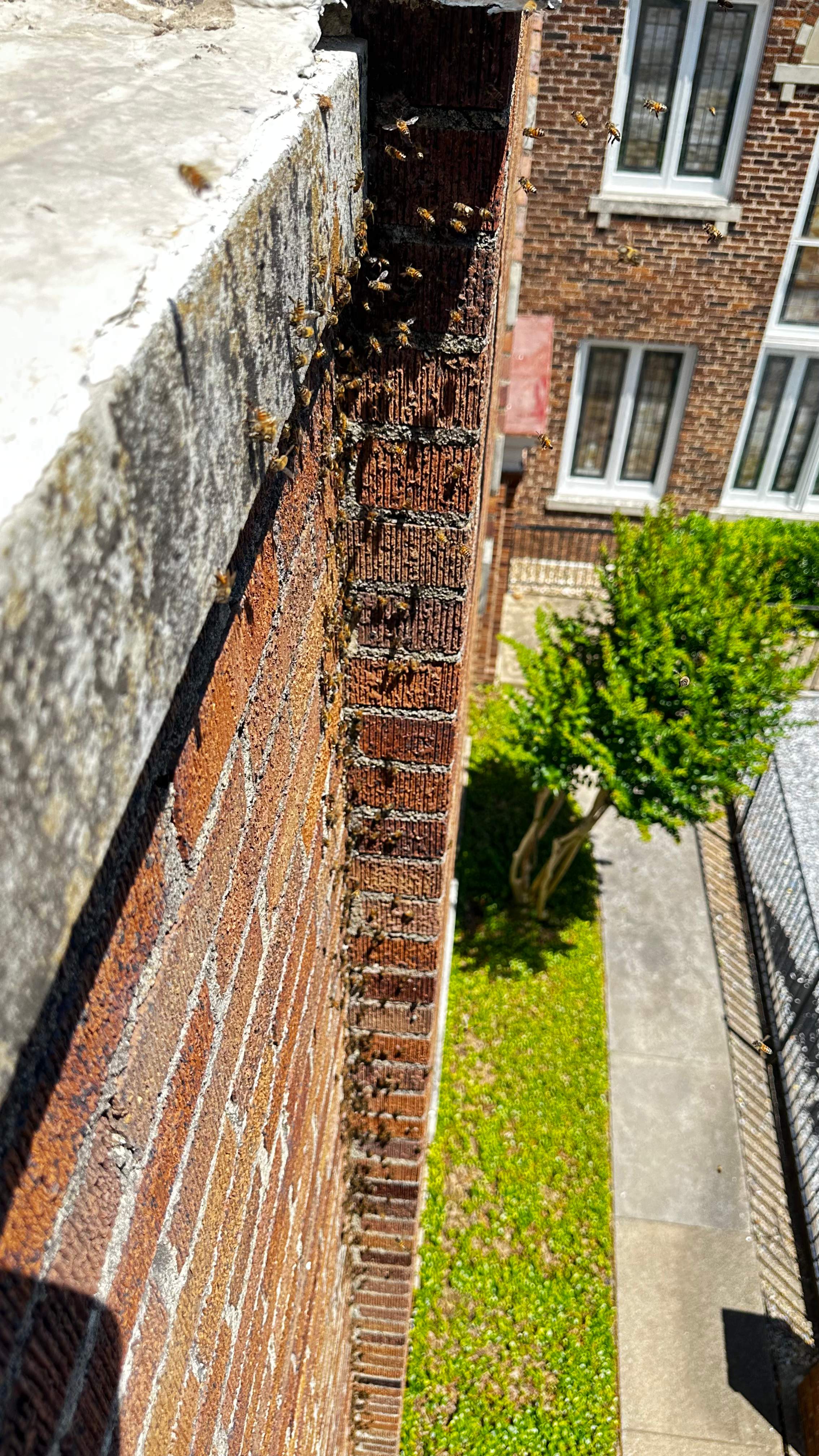 Church by Rockwall Honey Bee Company