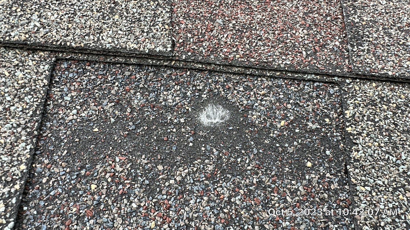 Exposed Fastener Metal Roof Replacement – Ossian, IN by 4Ever Metal Roofing