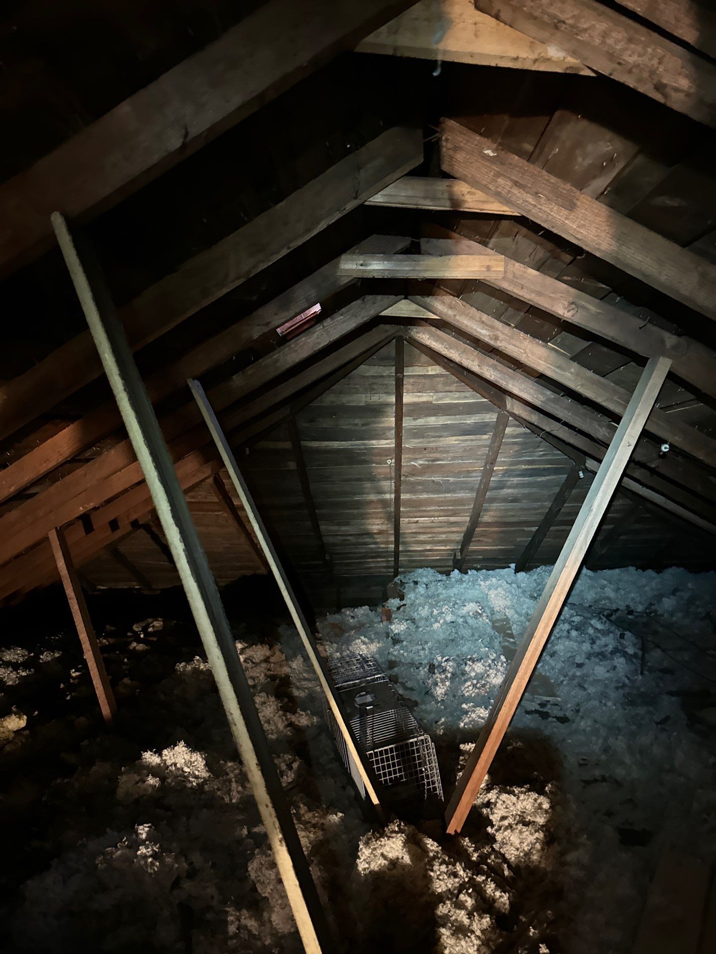 Project in Everett by Peaks and Valleys Construction