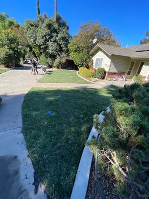 Project in Chico