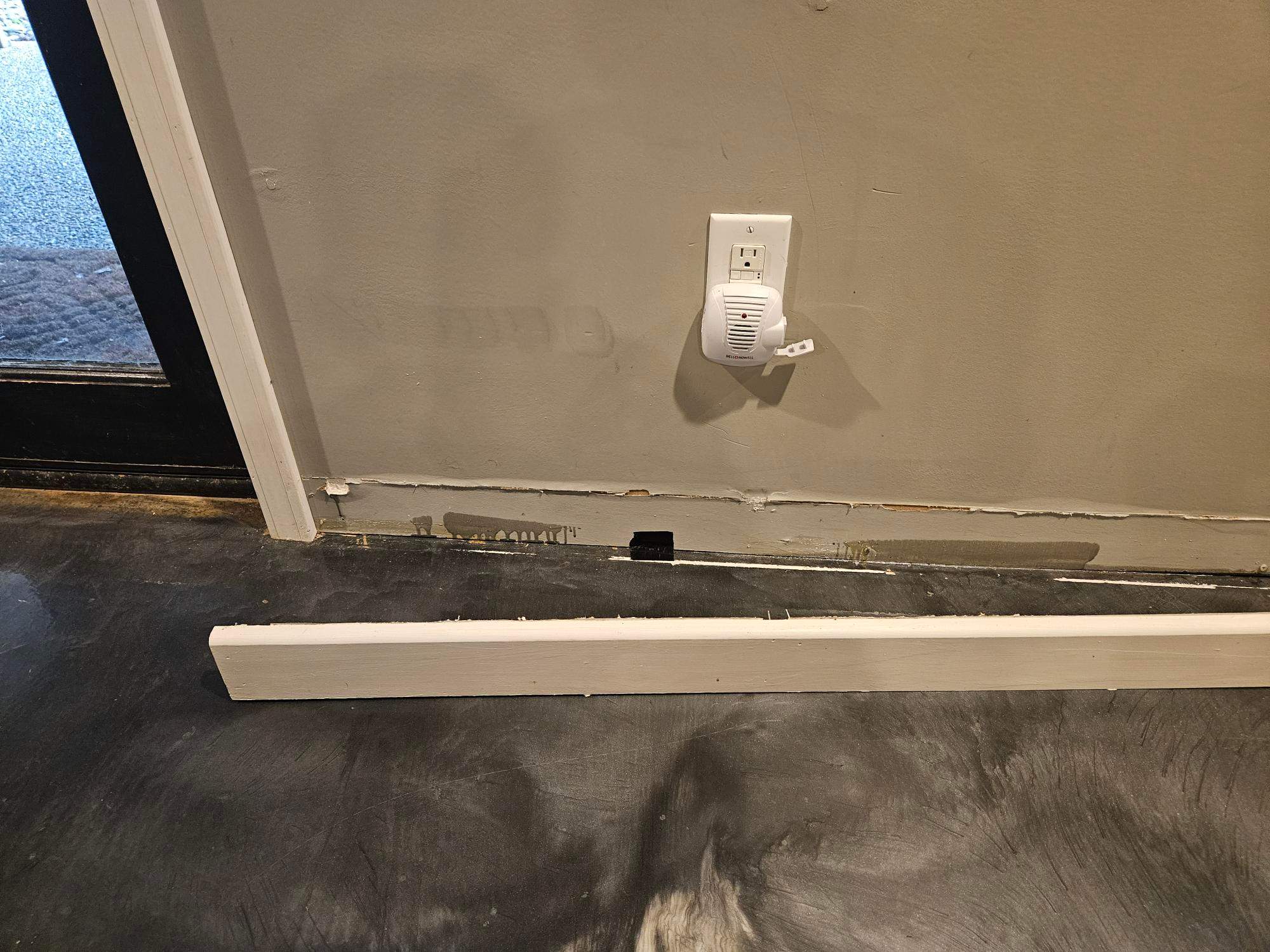 Investigative Demo by ANR Restoration