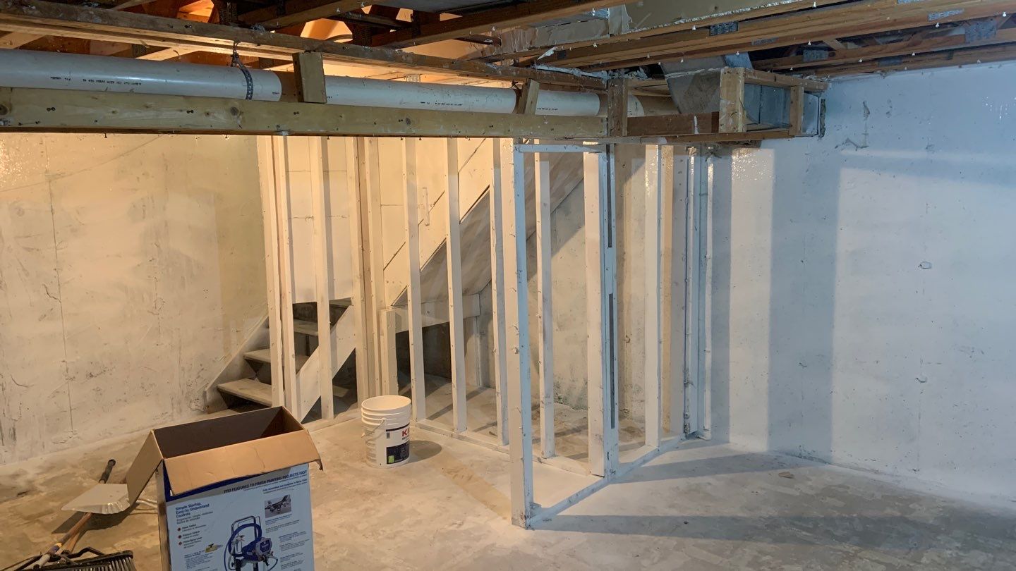Grossly Contaminated Basement Mold by Chicagoland Water Medics