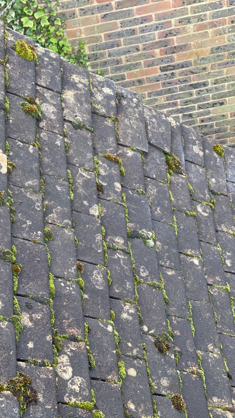 Roof Clean - Biocide Treatment using Honda 15lpm Low Pressure Washing Machine by Ges Exterior Cleaning ltd