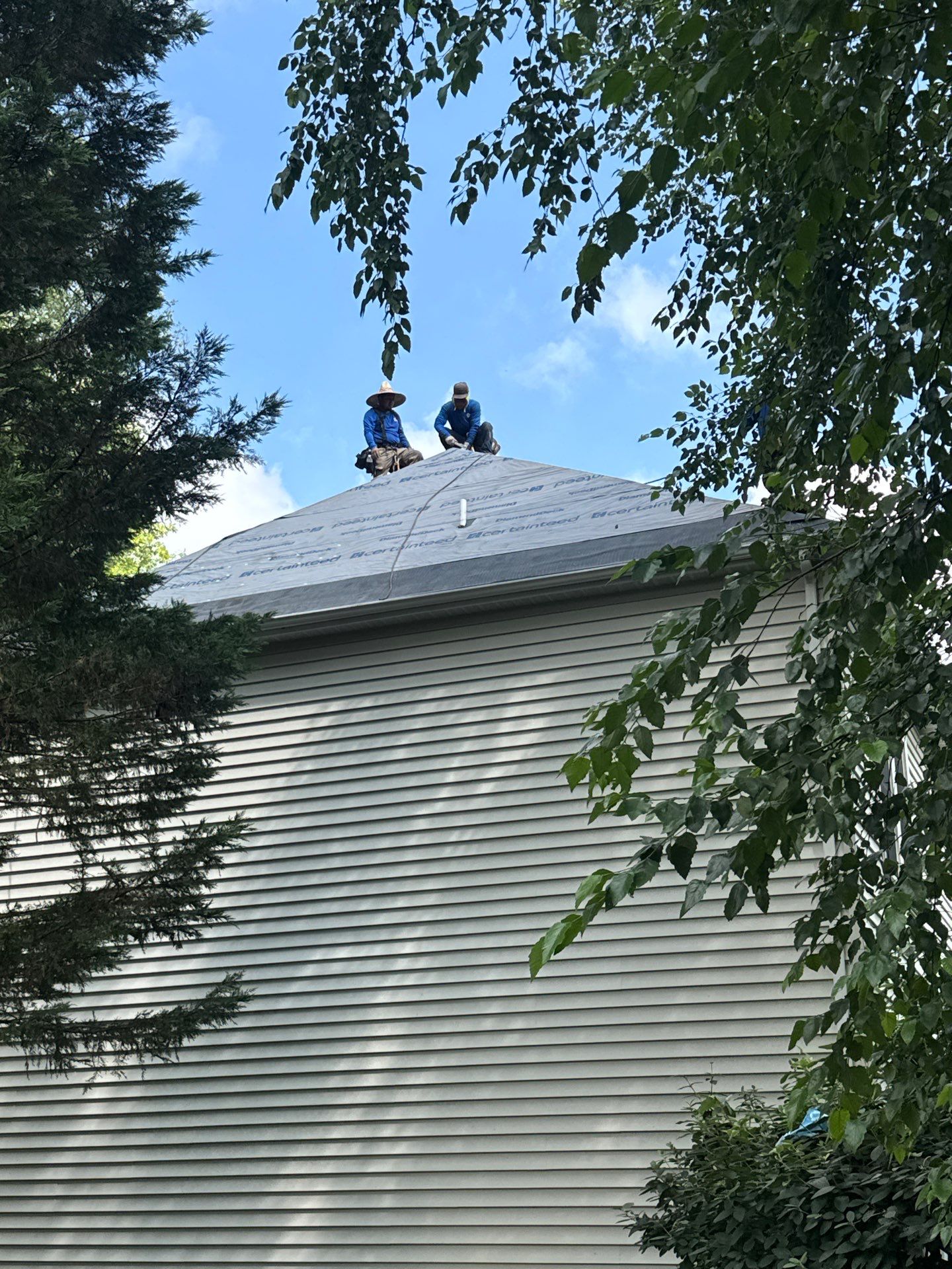 New Shingle Roof & New Gutters and downspouts with covers by Alpha Design Services