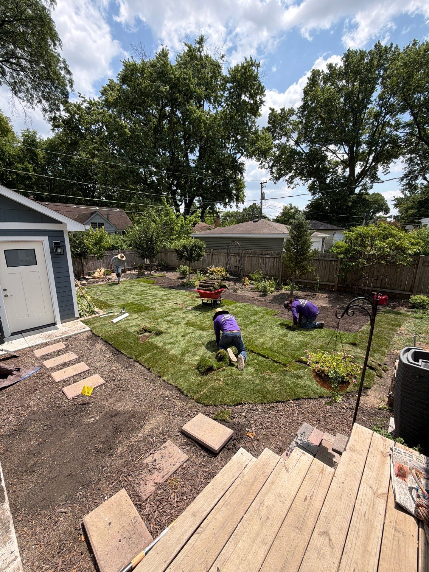 Joanne C. - Mount Prospect, IL by A&N 