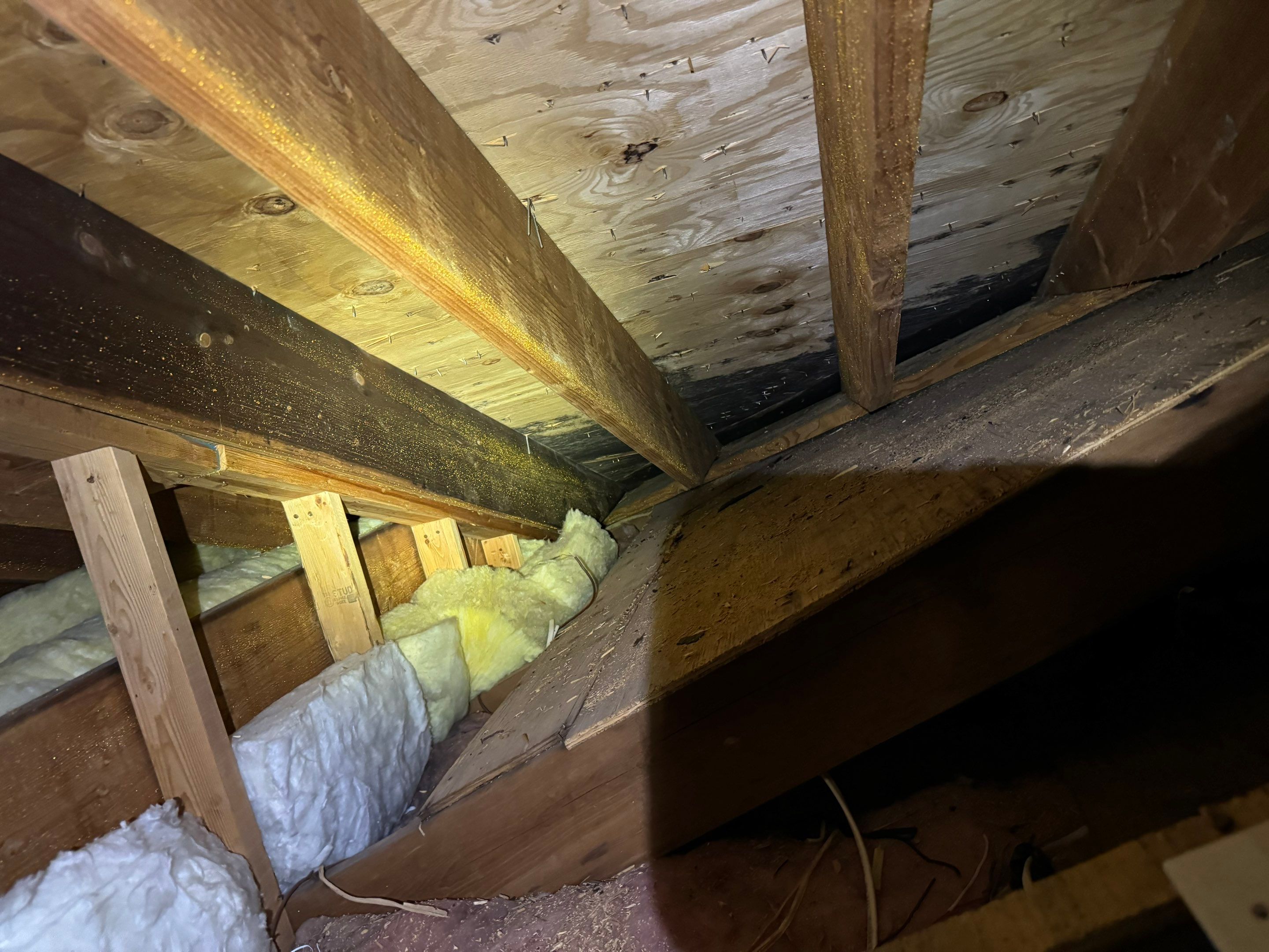 Attic Mold Remediation by Home Guarantee, LLC