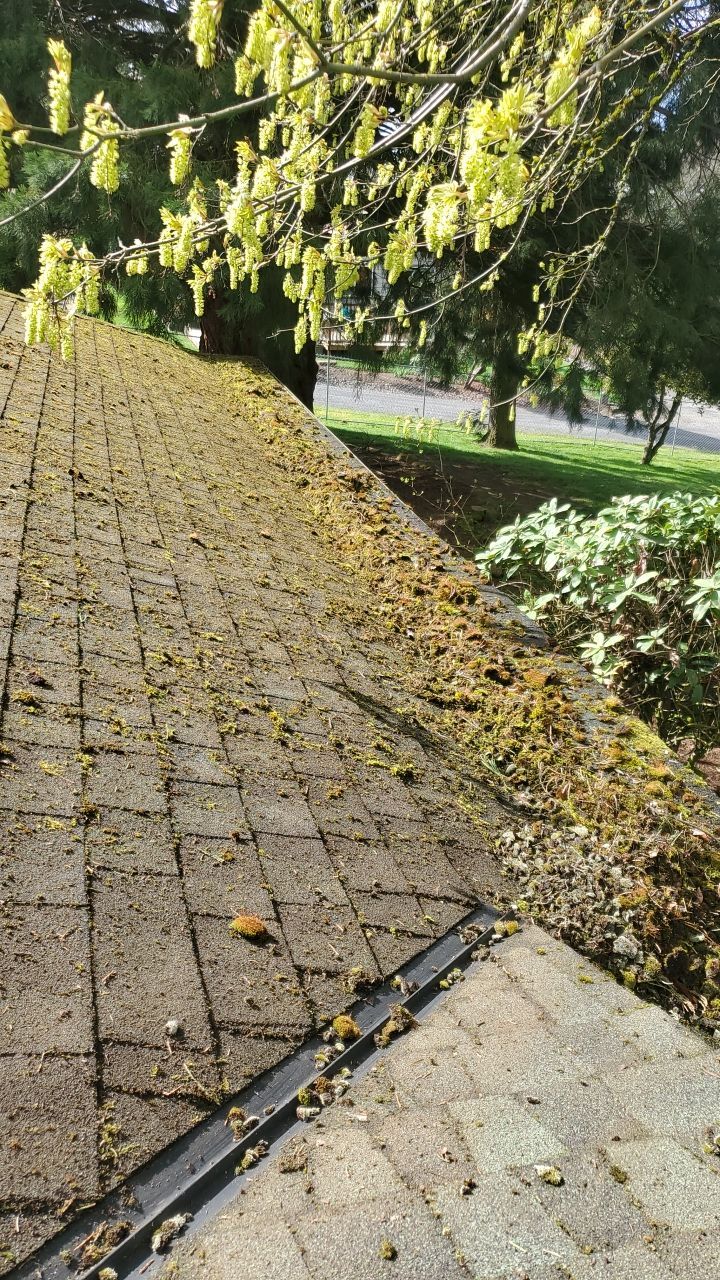 Roof Cleaning Moss Treatment by Willamette Outdoor Wash LLC