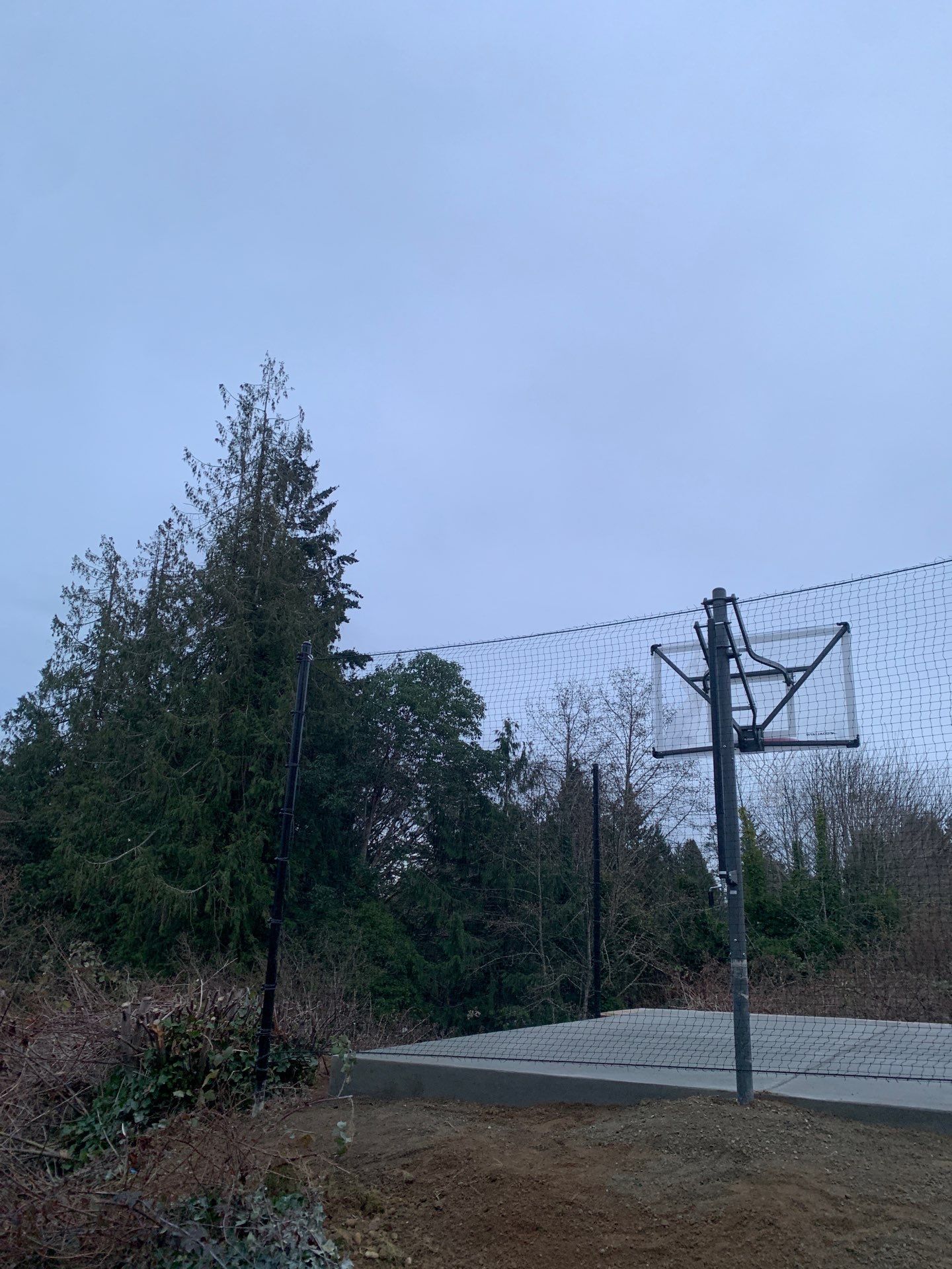 Sport Court |  Port Orchard by Jireh Asphalt & Concrete Inc 