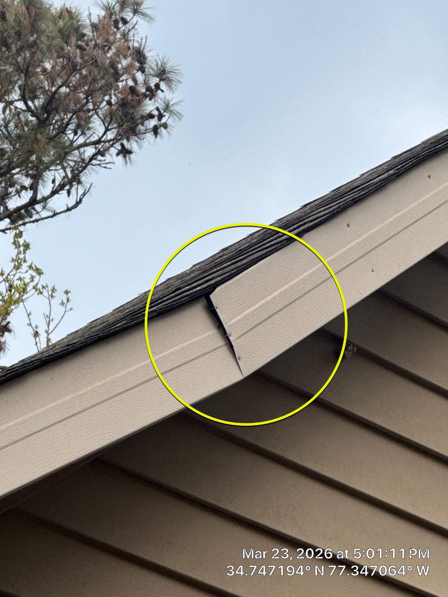 Free Roof Inspection Jacksonville, NC by North Carolina Roofs