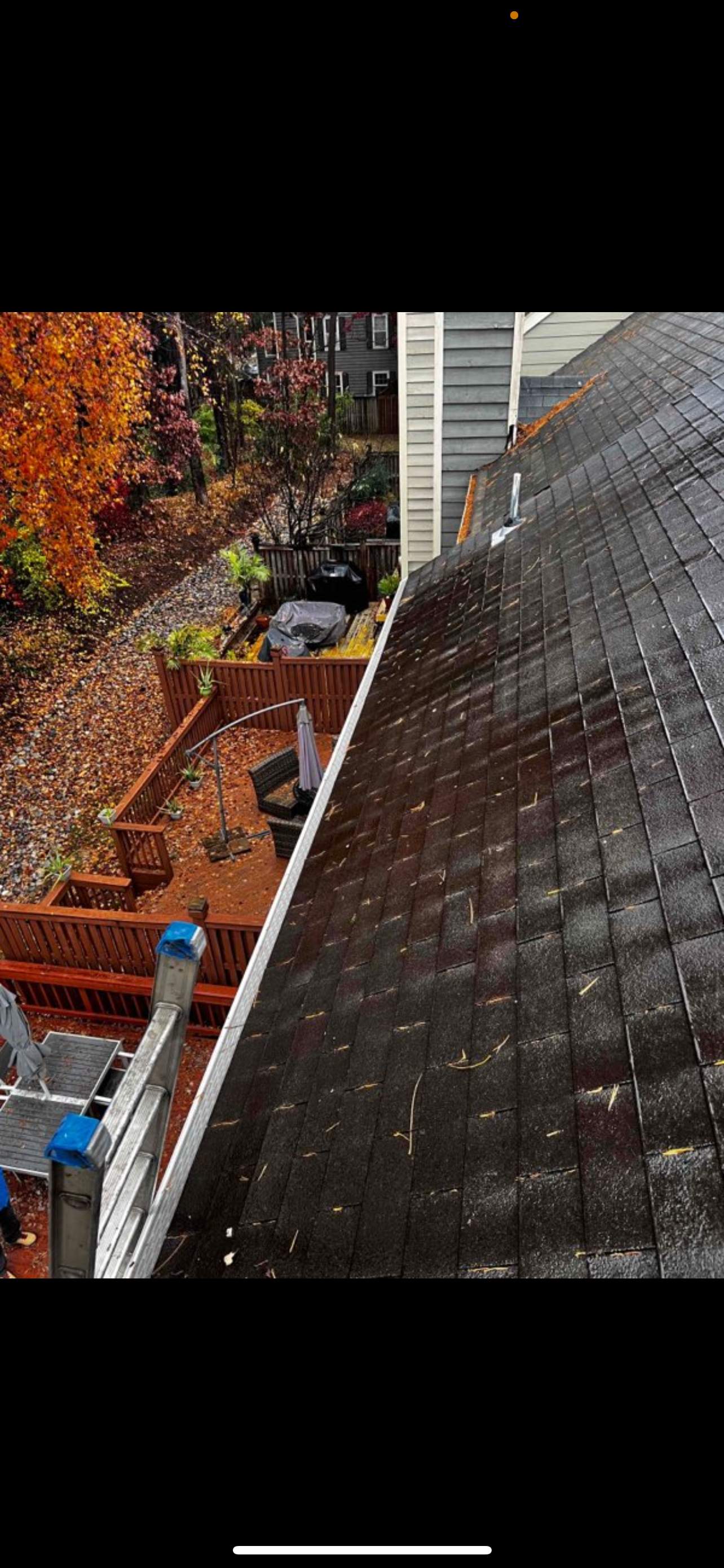 Pest Proof Pest Management featured photo.