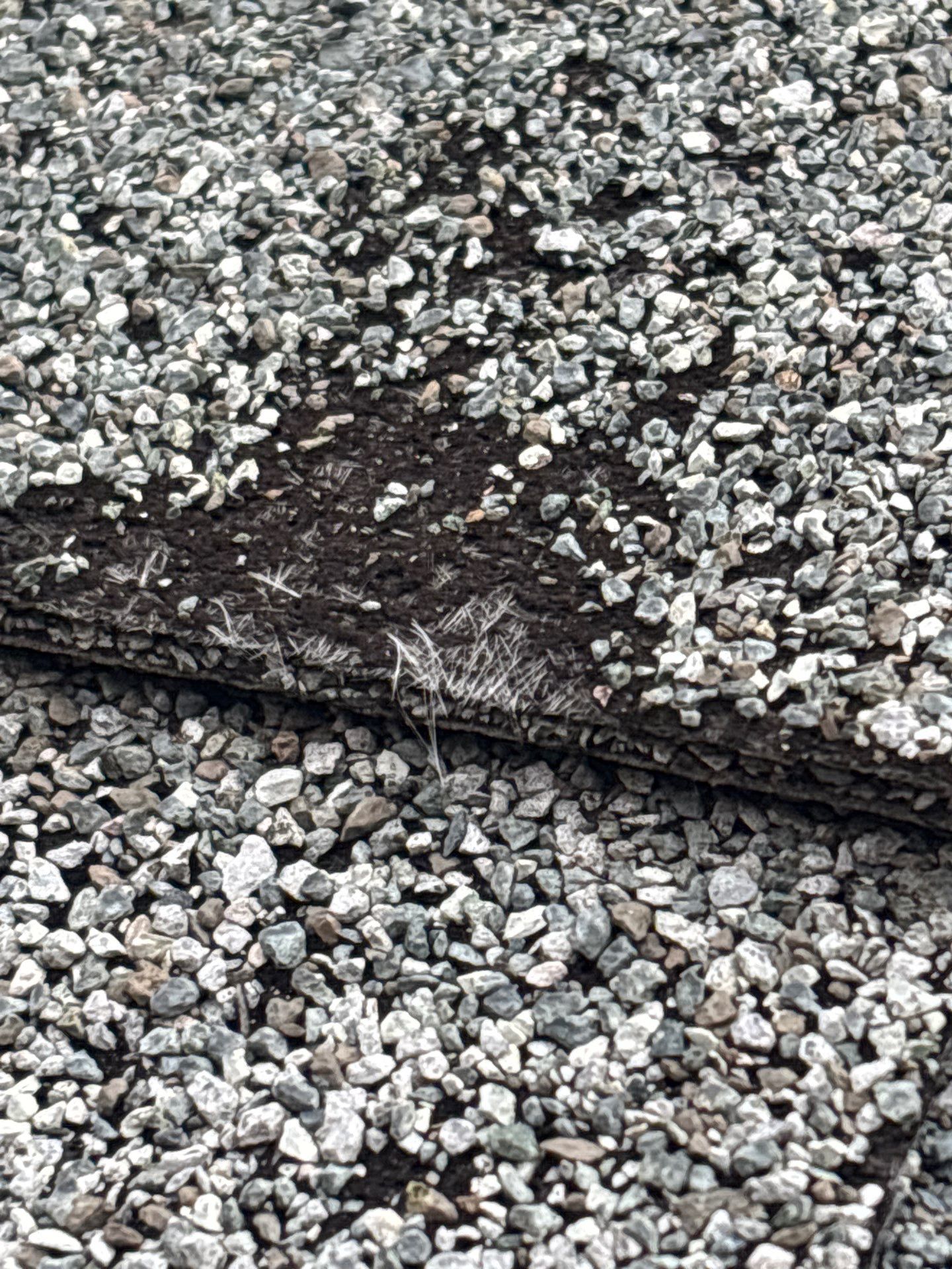 Project in Richmond by Roof Maxx of Midlothian