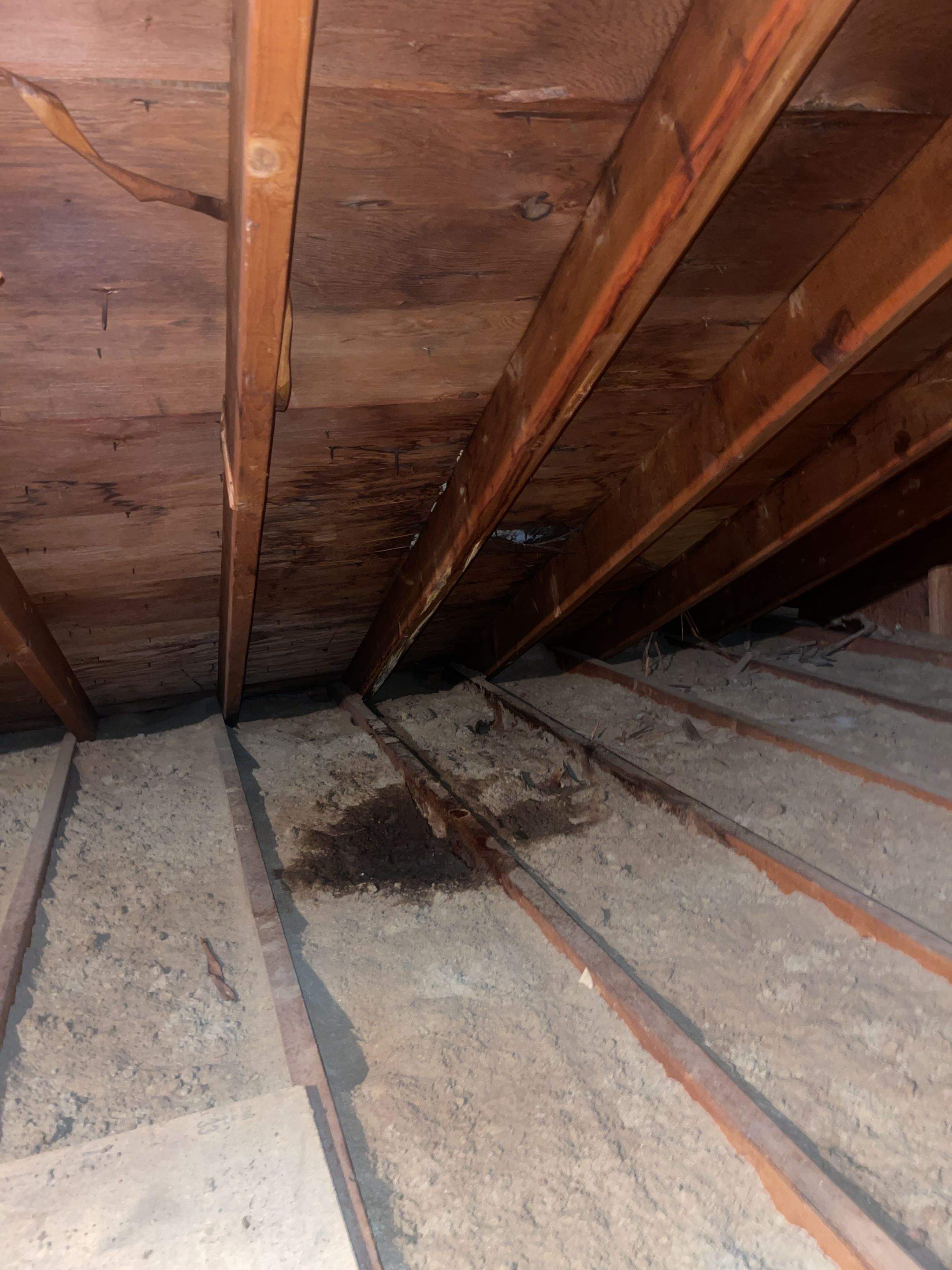 Residential Roofing Installation using Owens Corning TruDefinition Amber by A Plus Exterior