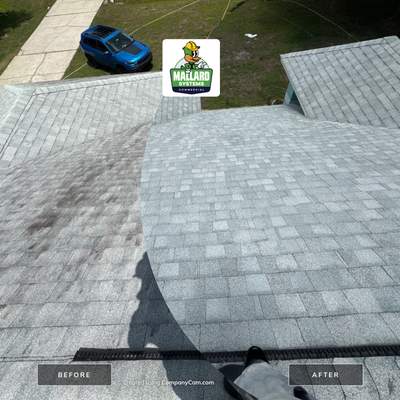 Shingle Roof Cleaning