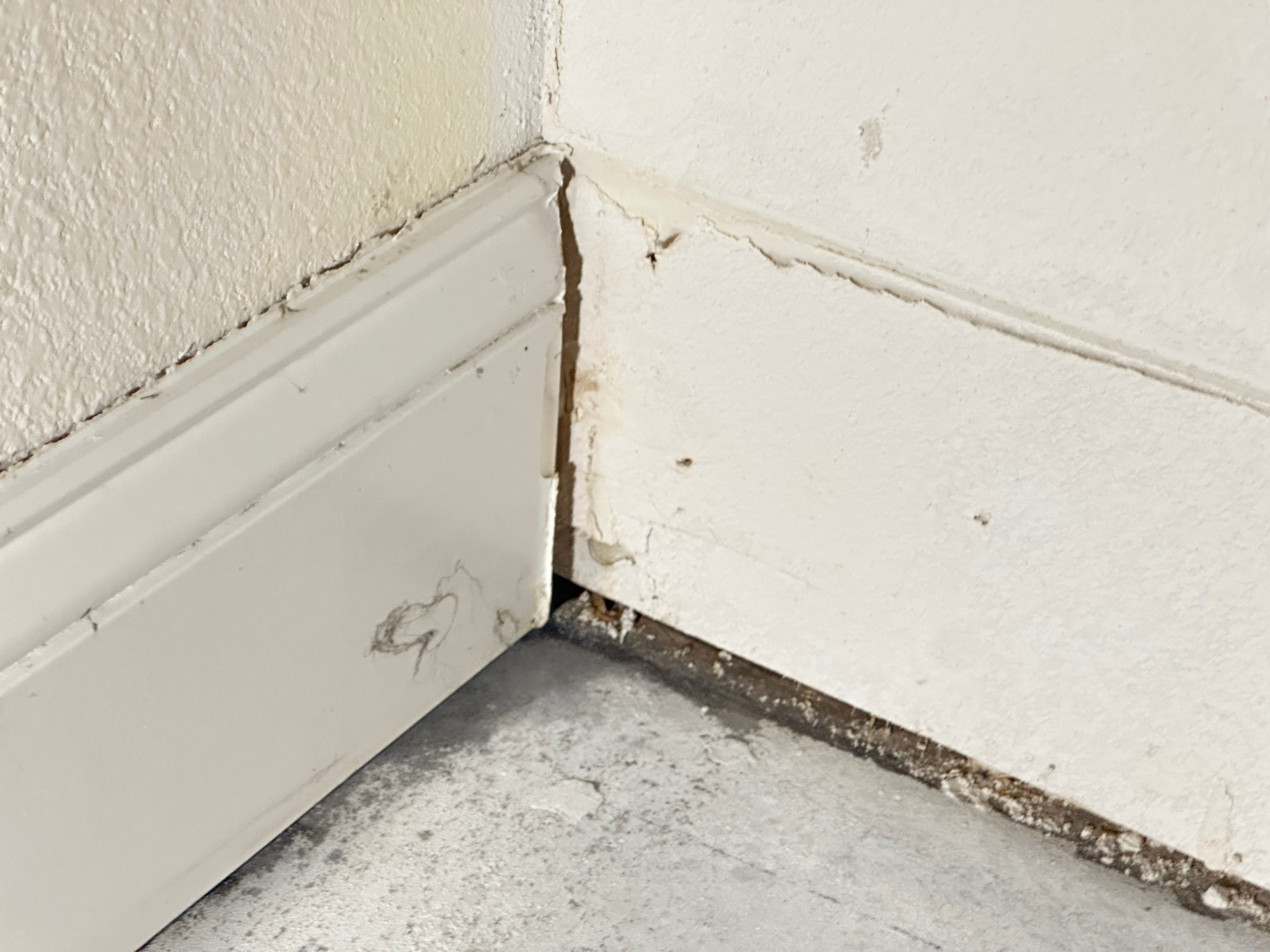 Water Damage Claim in Sarasota by FLAPA & KeyStone