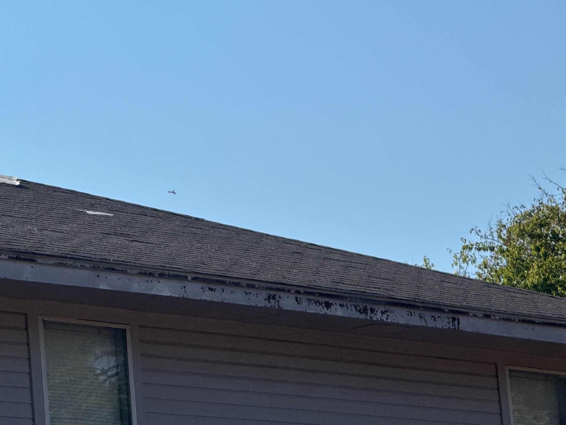 Interior Leak Damage Assessment & Shingle Removal in Crowley, TX photo 31