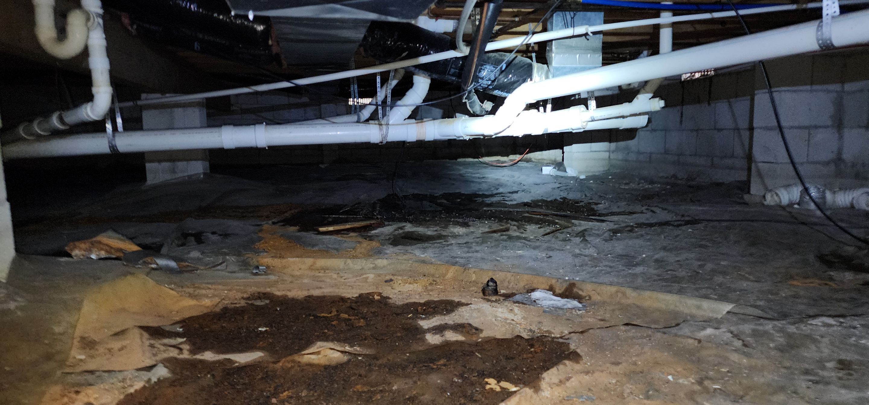 Crawlspace Waterproofing/Encapsulation by Toledo Basement Repair 