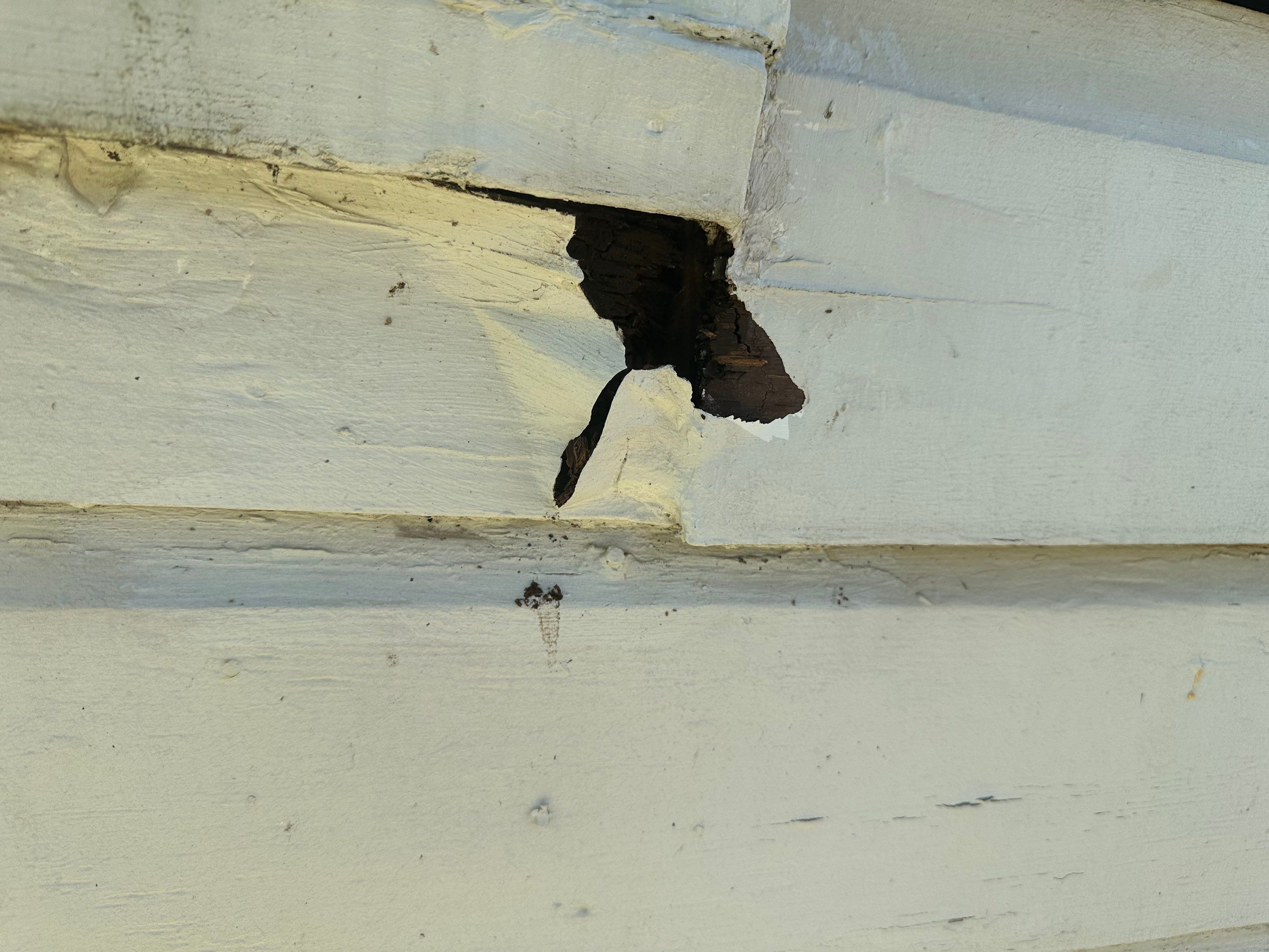 Historic Window & Shop Restoration in the Azalea District – Tyler, Texas by Quality Coats Painting