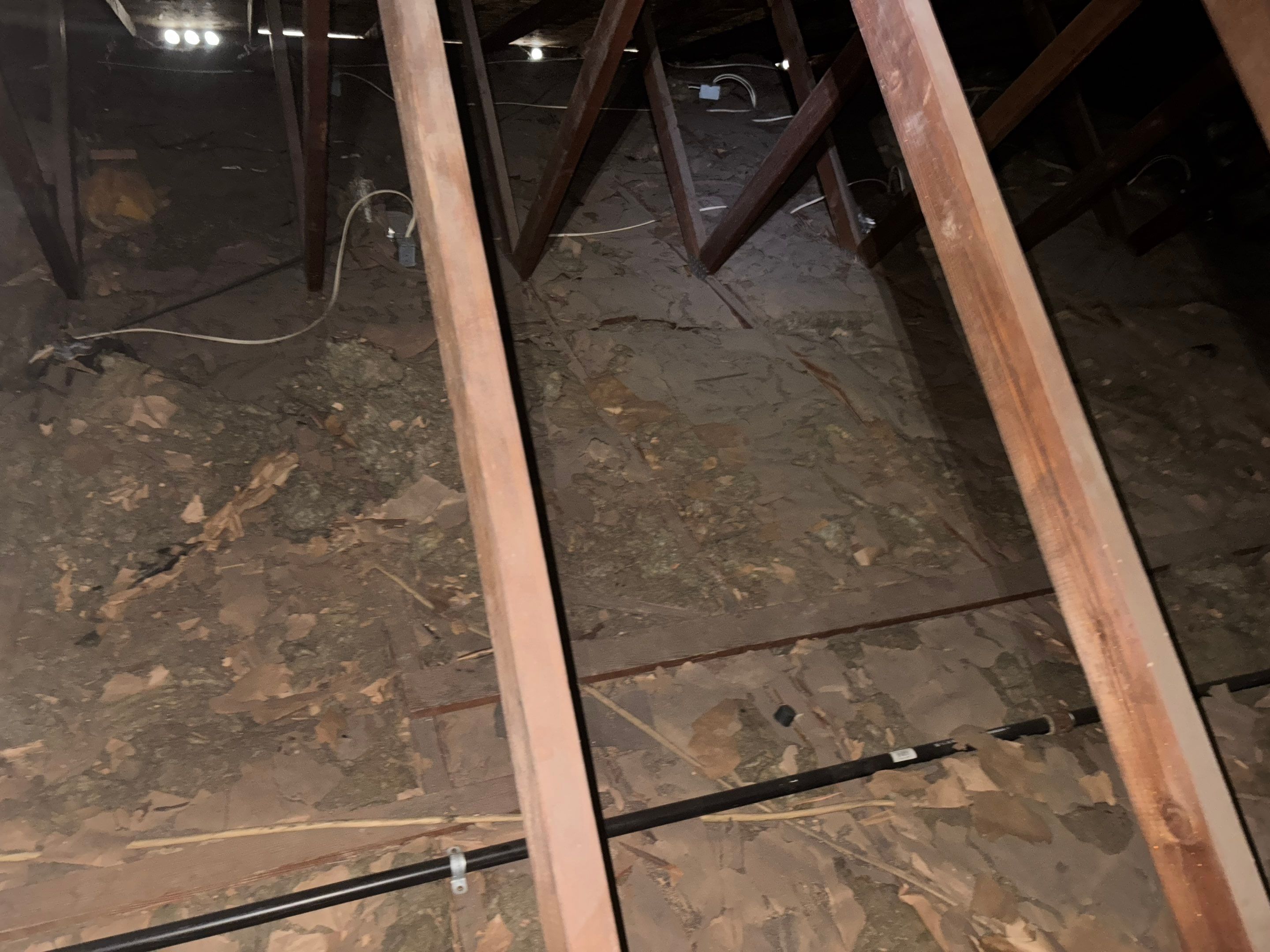 Project in Cerritos by Insulation Labs