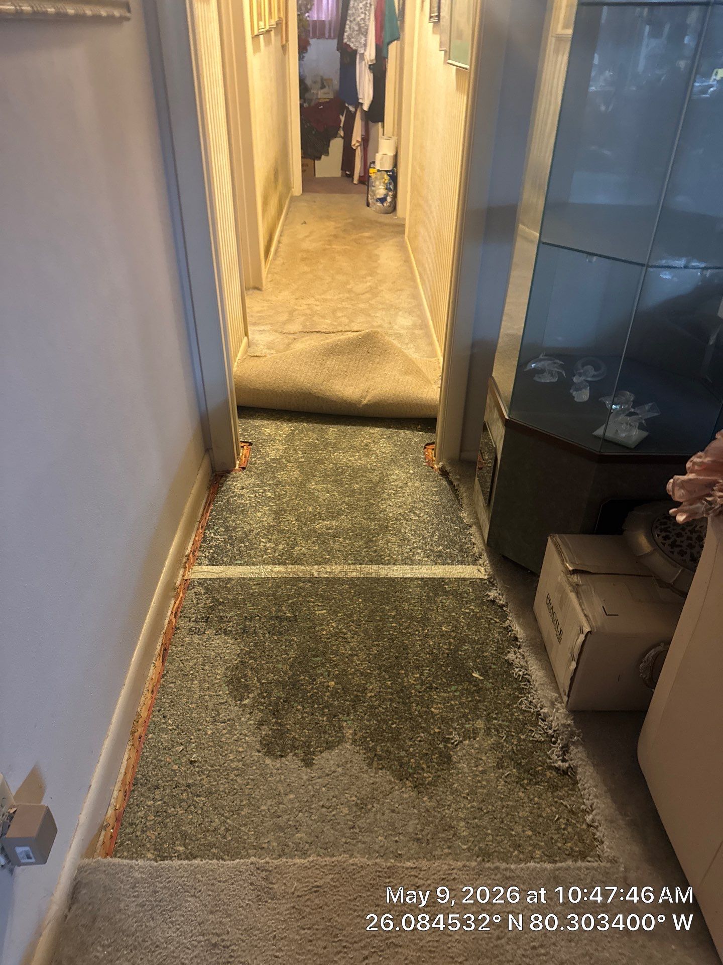 Water Damage Restoration and Structural Drying Services in Davie by SuperClean 