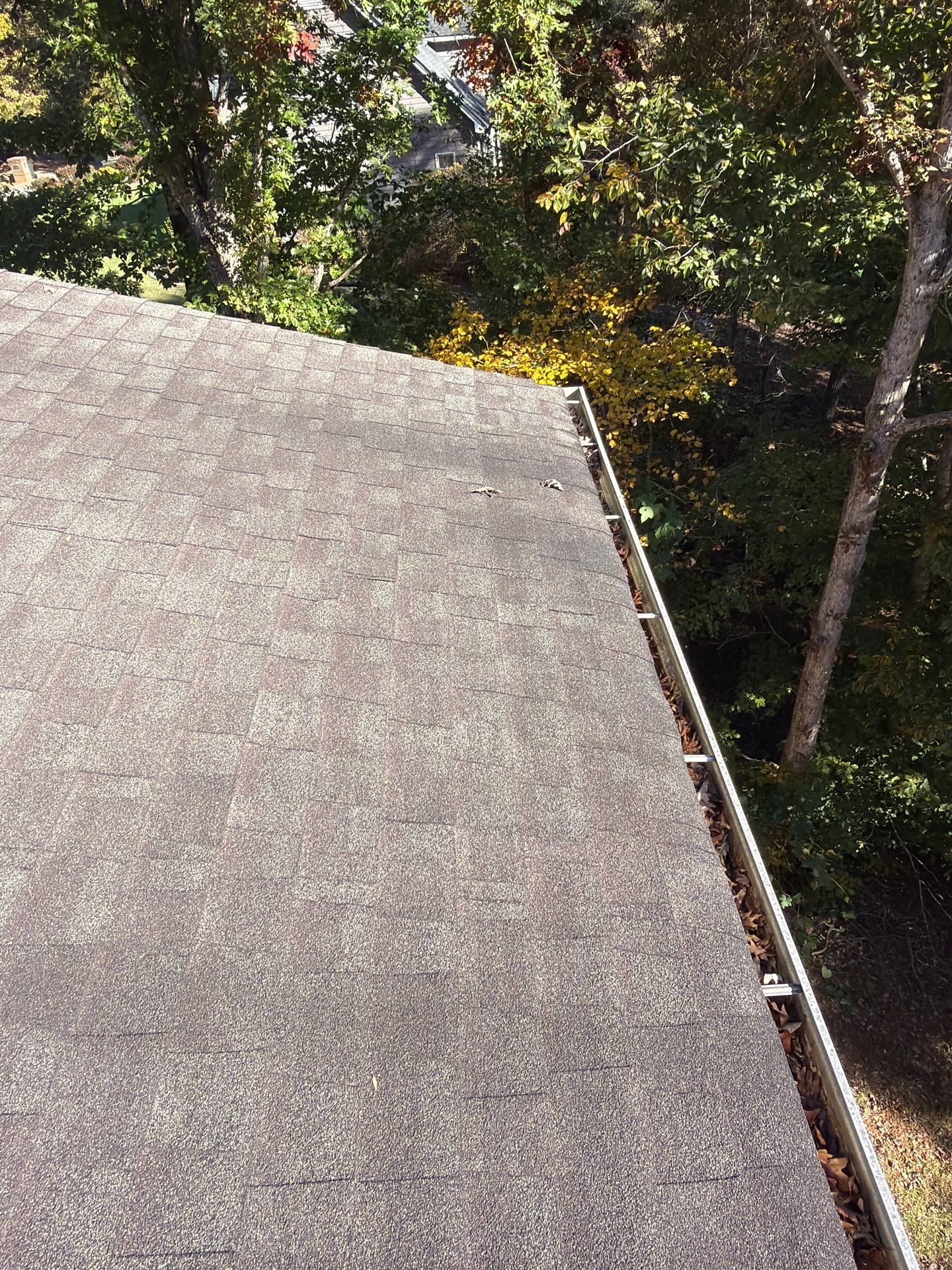 The Wilkins by United Contracting and Roofing