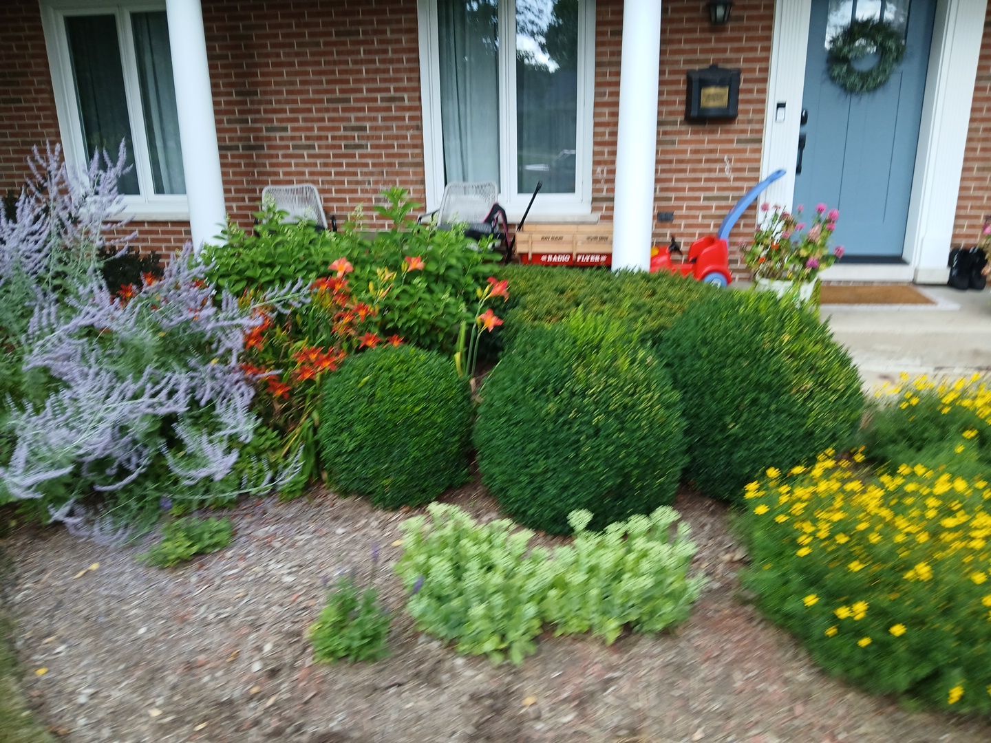 Michael I. - Glenview, IL by A&N 