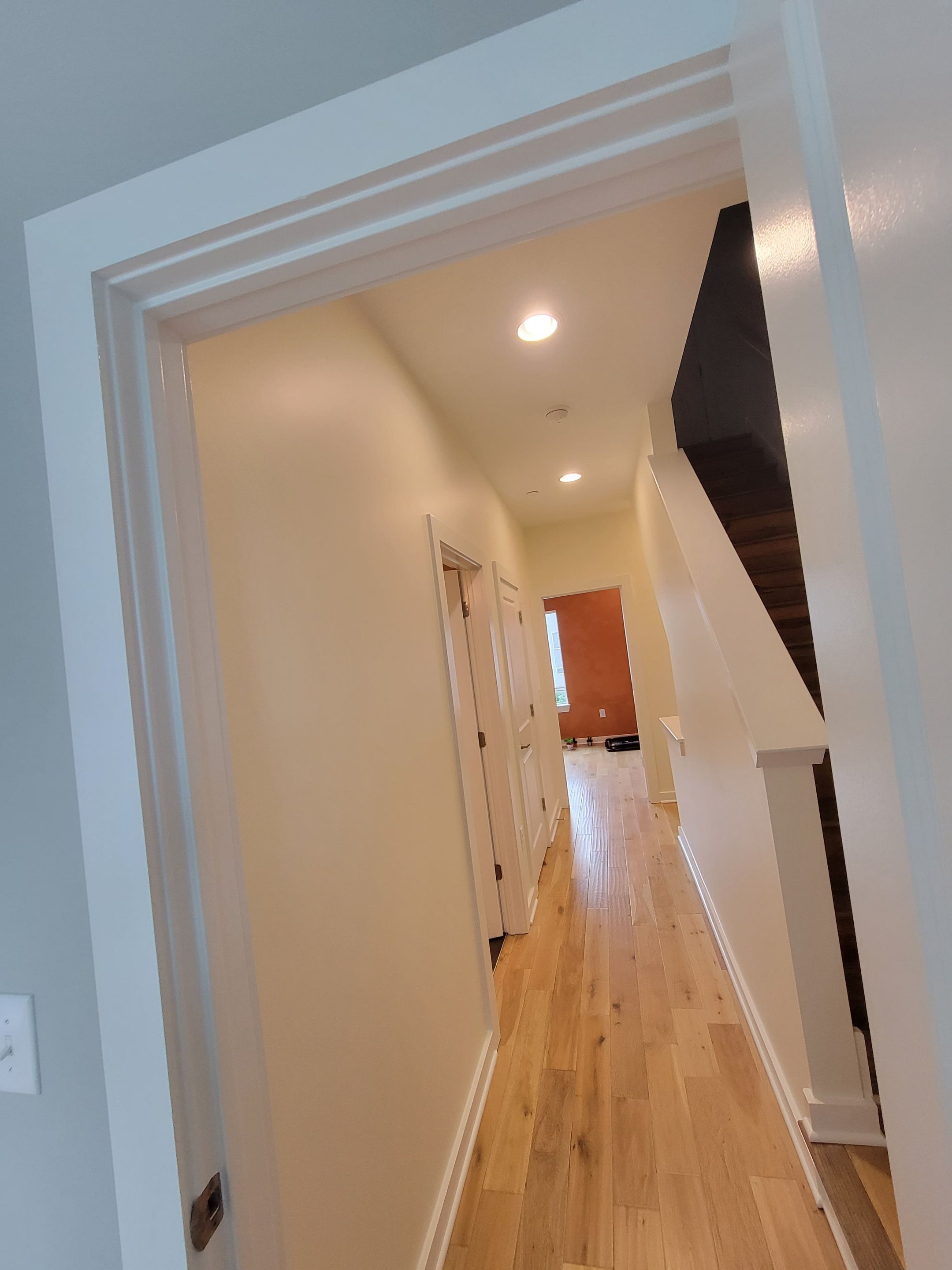 Whole-Home Transformation in Olde Kensington by Groovy Hues