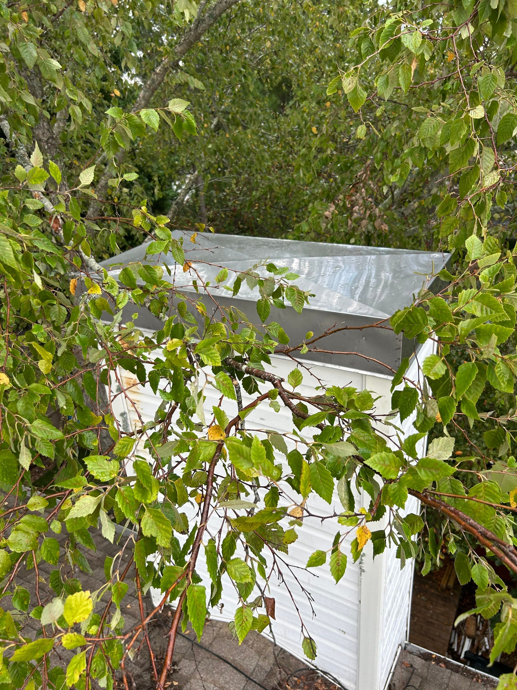 Fireplace Removal in Virginia Beach by Premier Chimney and Roofing