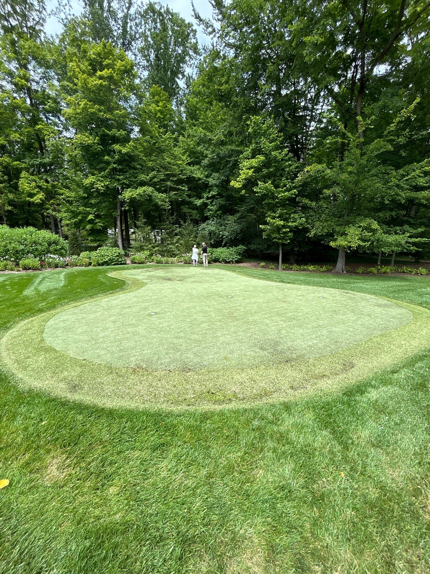 Green Replacement in Indianapolis, IN by Southwest Greens Midwest