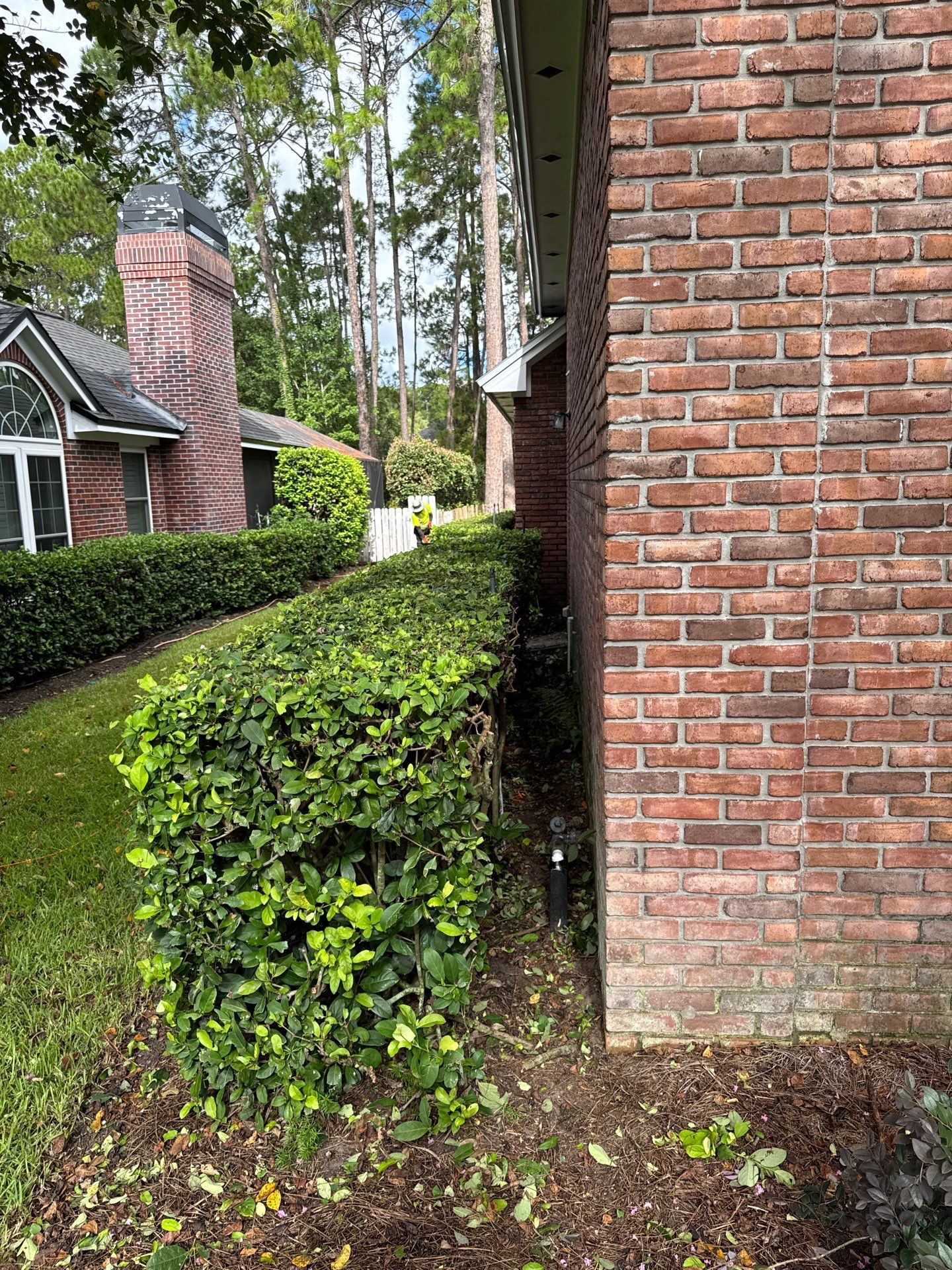 Residential | Shrub Trimming by ProGreen Services