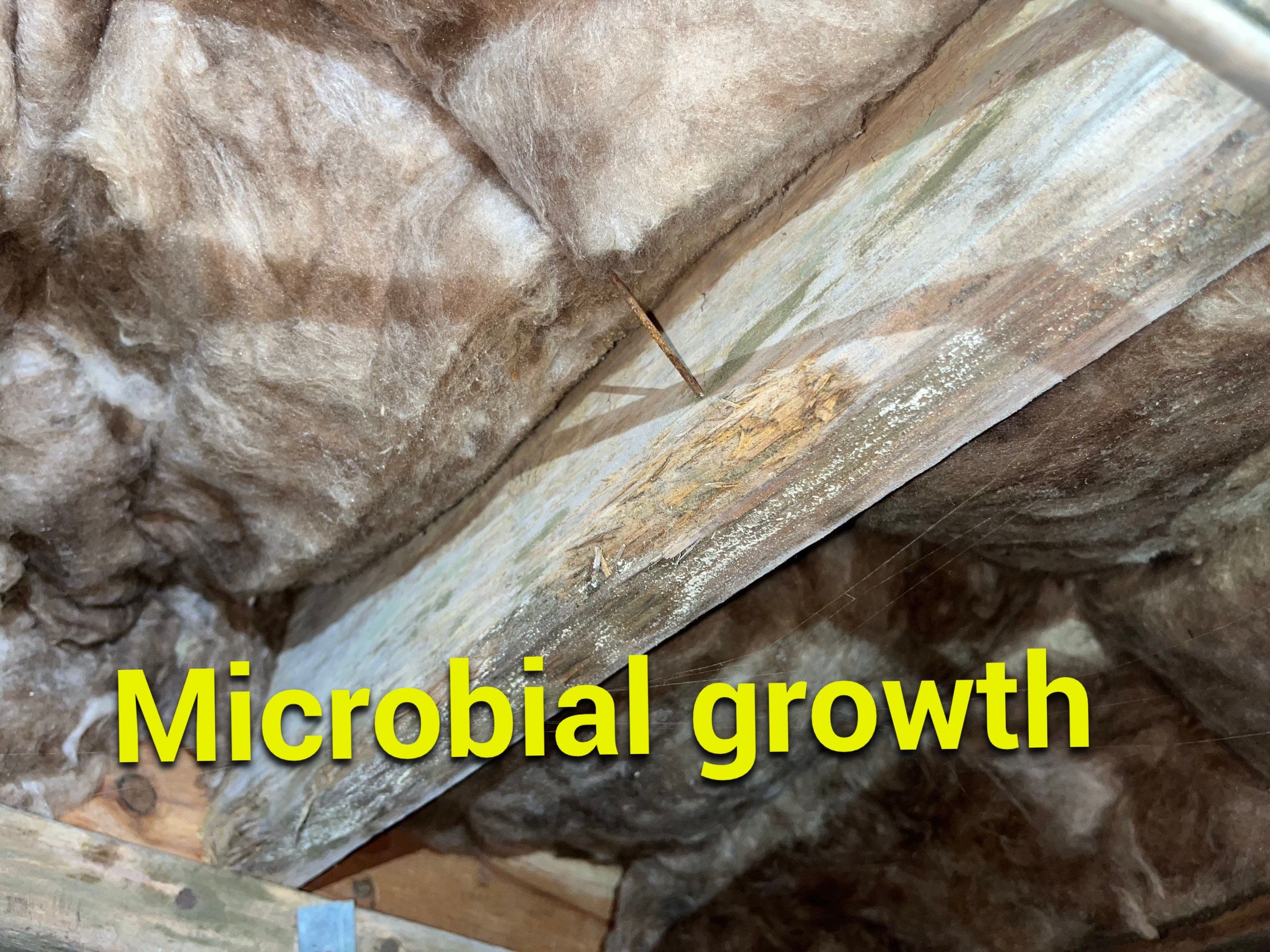 Impact Choice Encapsulation using Tri-Plex Insulation by Impact Crawlspace