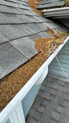Turtle Shell gutter protection installation in Naperville, IL 60563, photograph 10