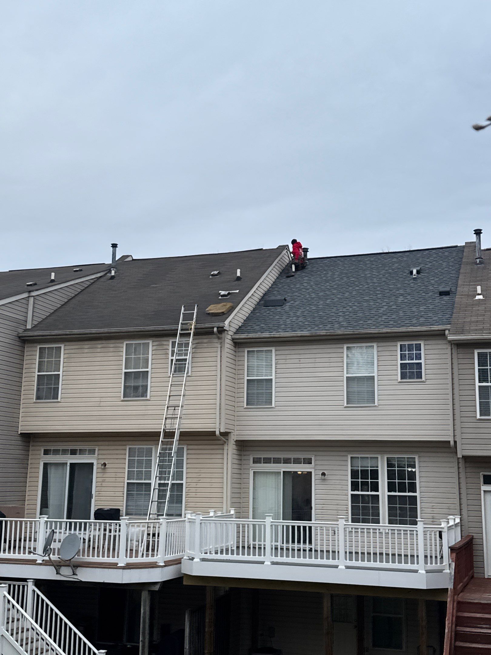 New shingle Roof an New gutters & Downspouts by Alpha Design Services