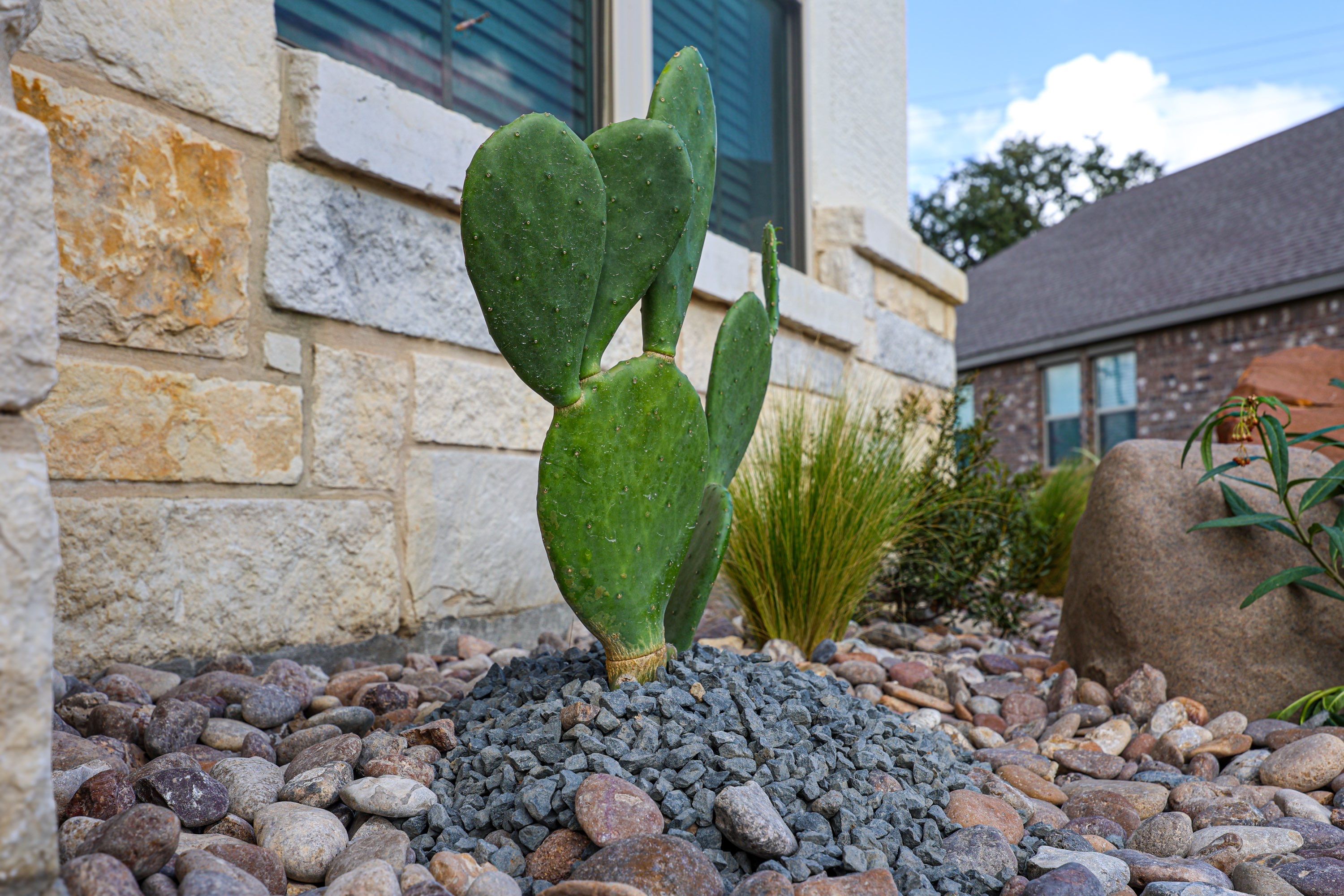 Buffalo Crossing, Cibolo Tx. by Hole In One Lawns, LLC
