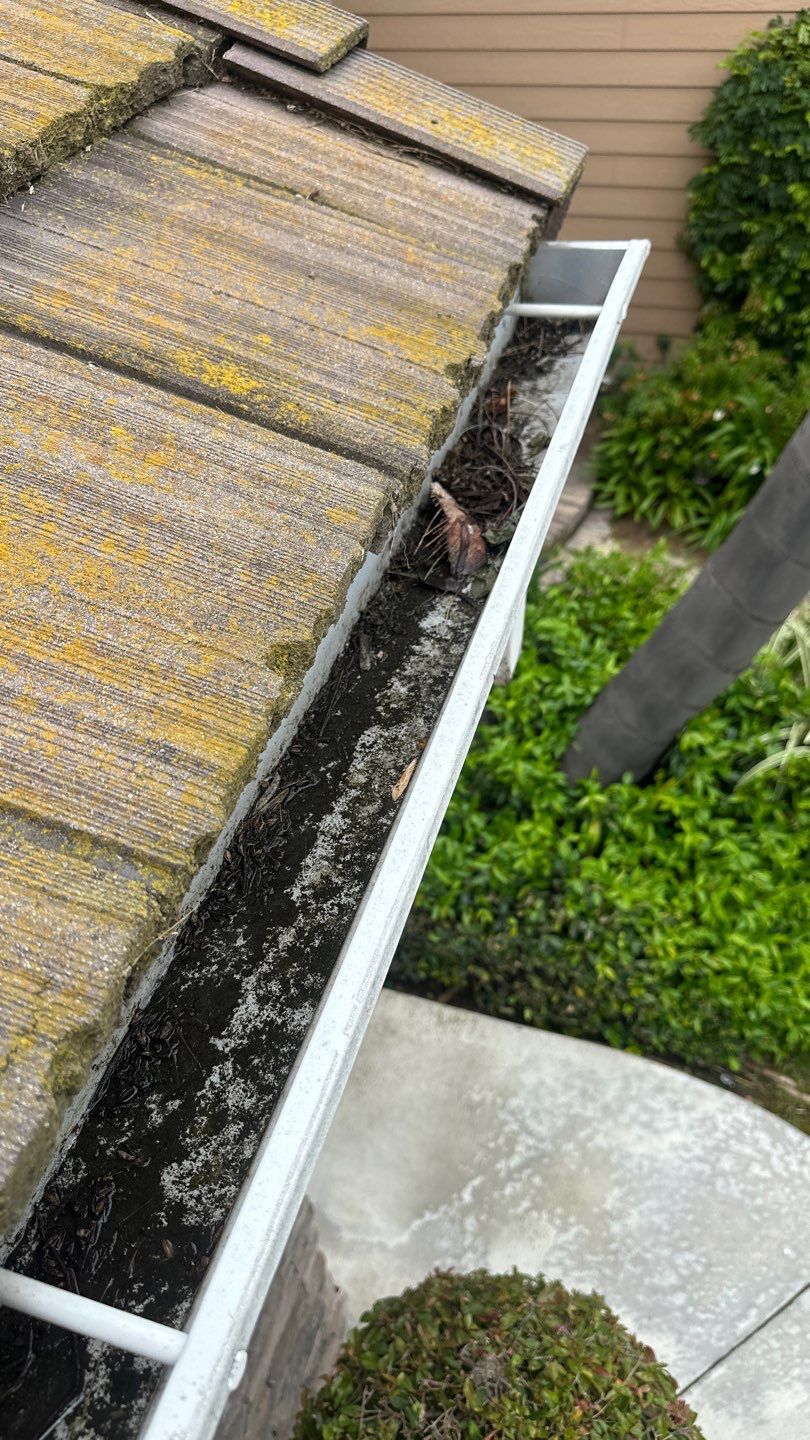 Irvine Gutter Cleaning by Property Cleaning Experts