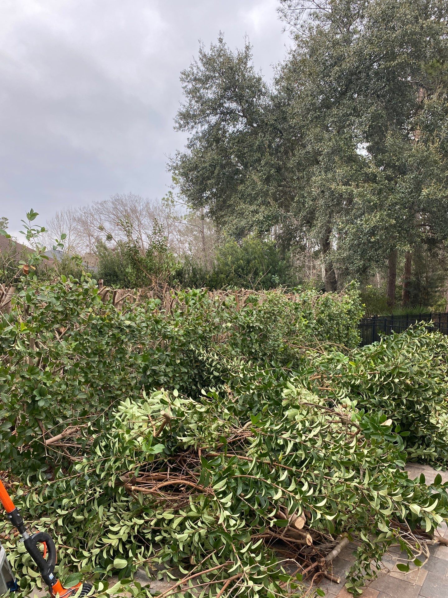 Residential | Hedge Trimming by ProGreen Services