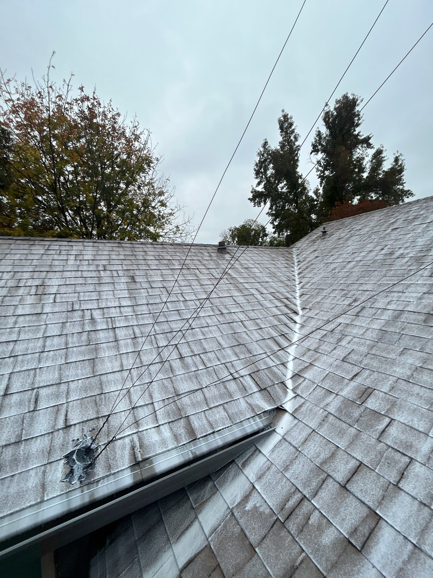 Roof Rejuvenation using Roof Maxx Treatment by Roof Maxx of Folsom