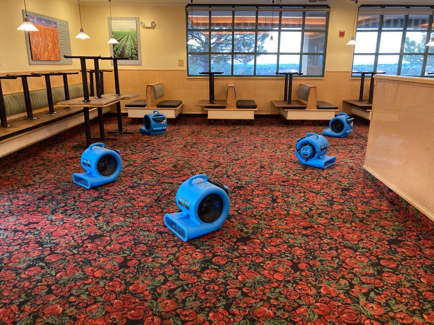 Water Damage  by Accountable Home Services