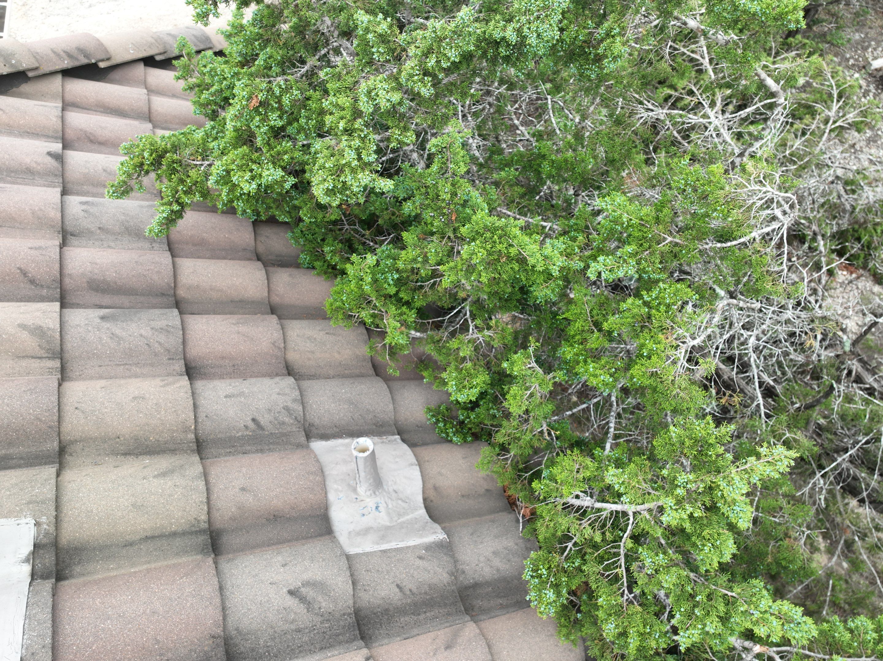 Tile Roof Repair  using Boral Tile by Premier Roofing and Contracting