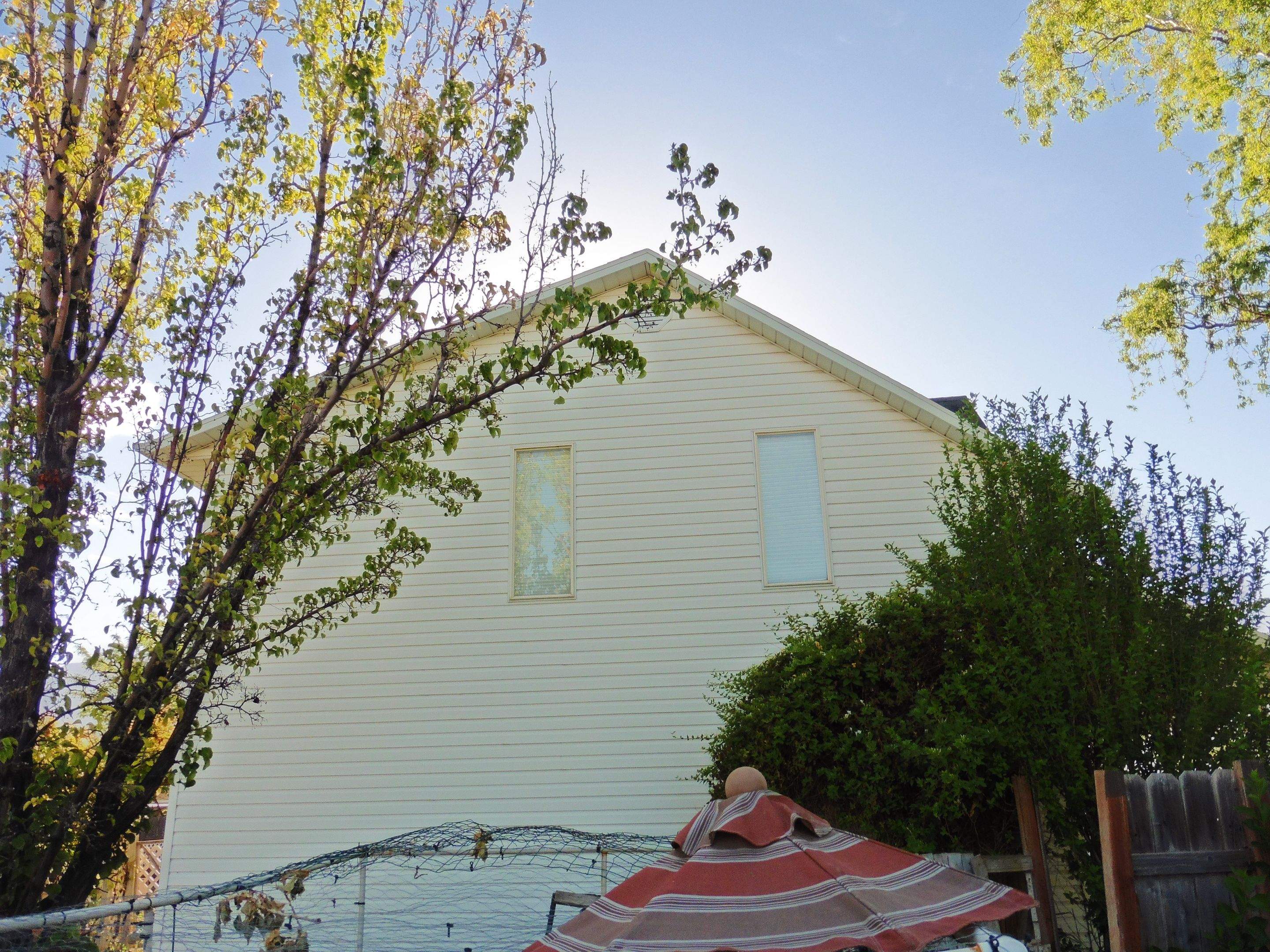 Interior Inspection by ASAP Roofing & Exteriors