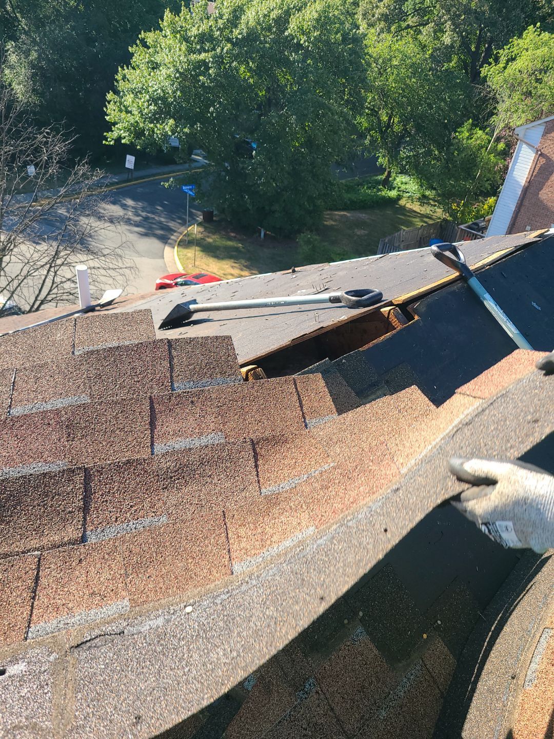Alexandria: Roof Replacement with CertainTeed Landmark Pro in Max Def Burnt Sienna by RM Banning, Inc.