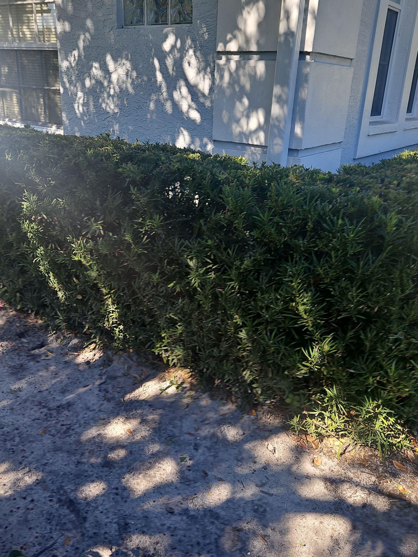 White Down Spouts using downspouts and White Seamless Gutters in Sarasota FL by Gutter Professors