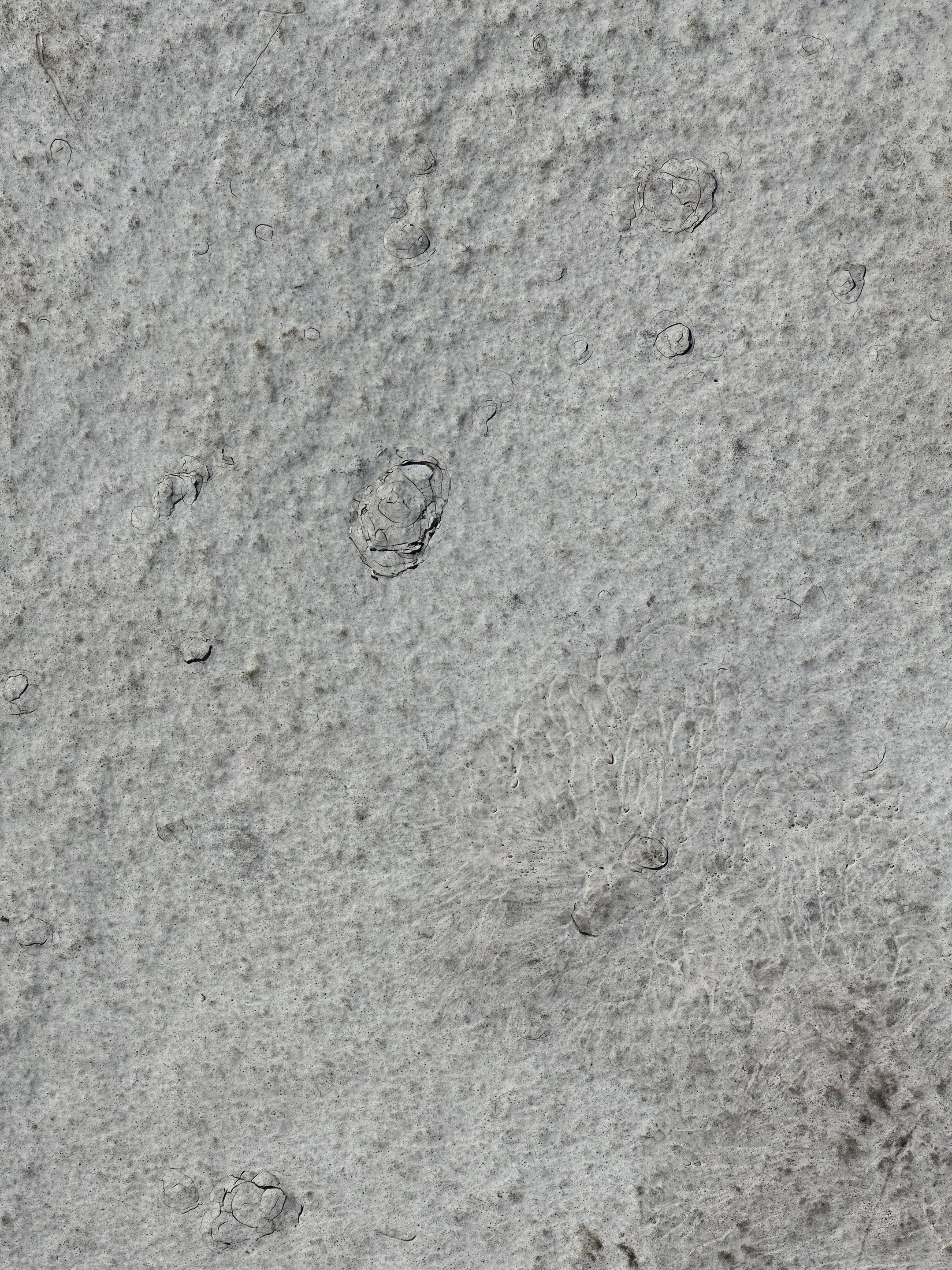 SPF coated with 100% Silicone Coating by Rhino Roofing LLC