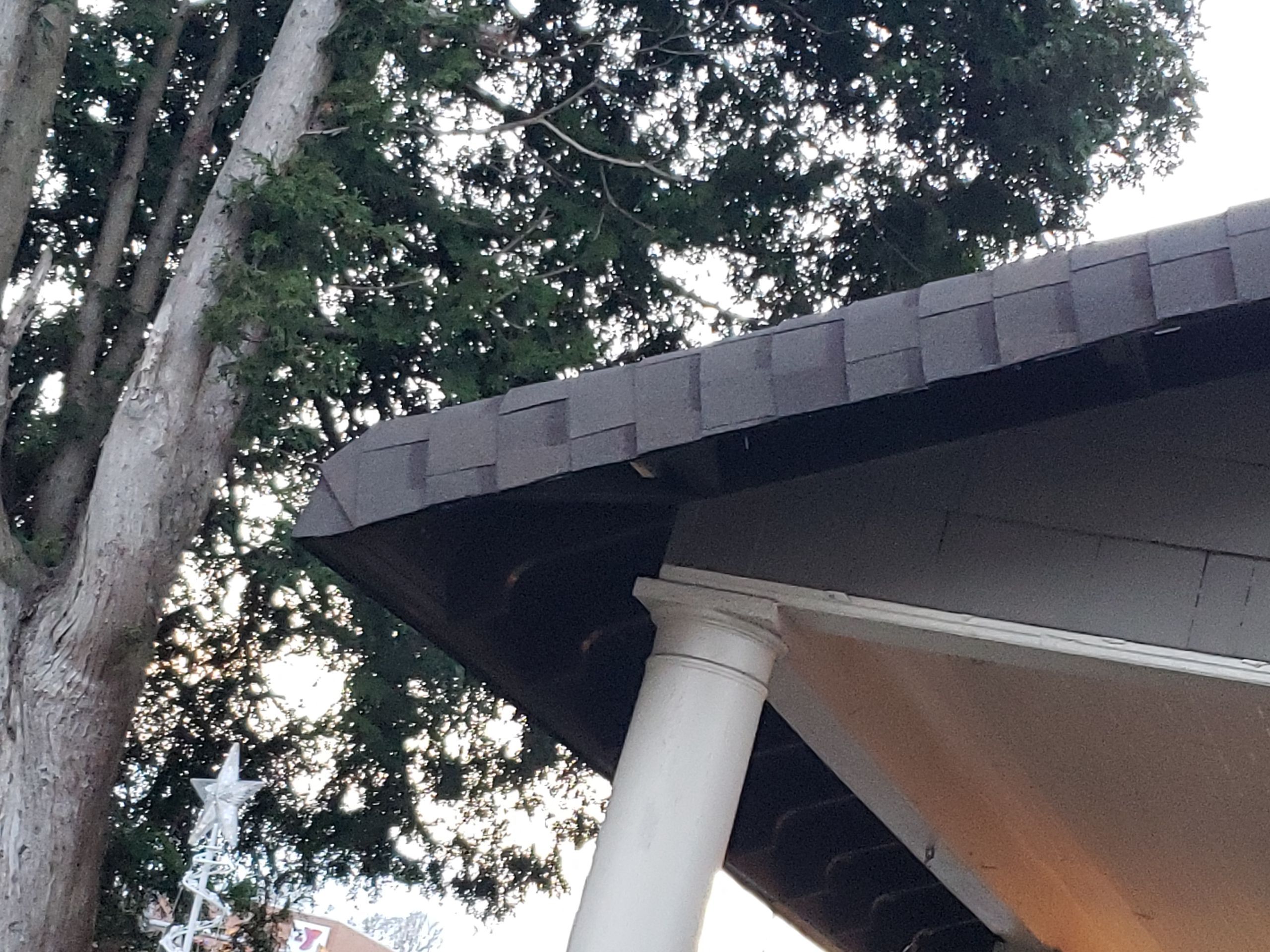 ATLAS PINNACLE COLOR: PRISTINE HEATHER by Eagle Eye Roofing