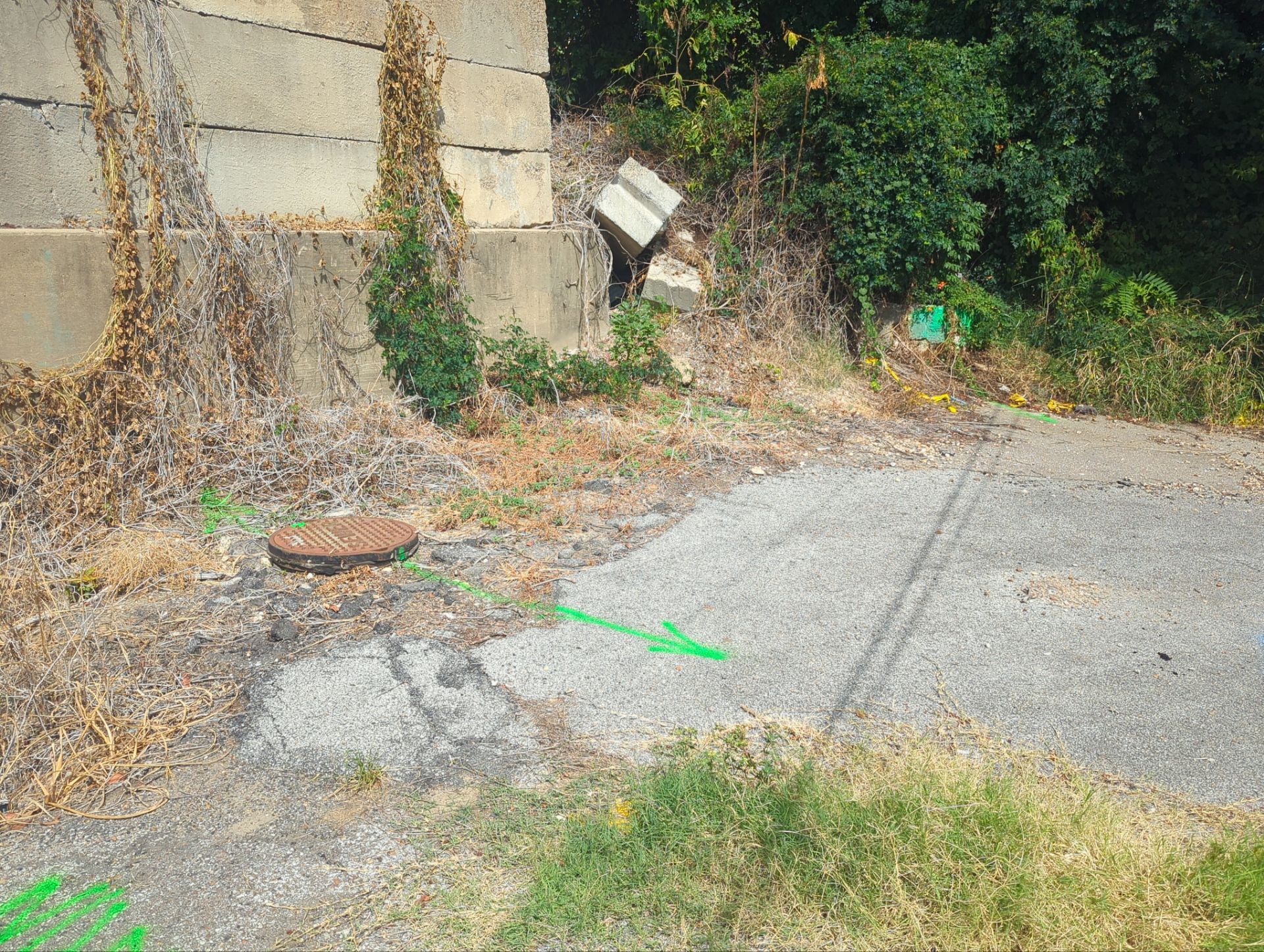 Utility Locate and Utility Mapping for Survey by Alsip Locating Service, LLC
