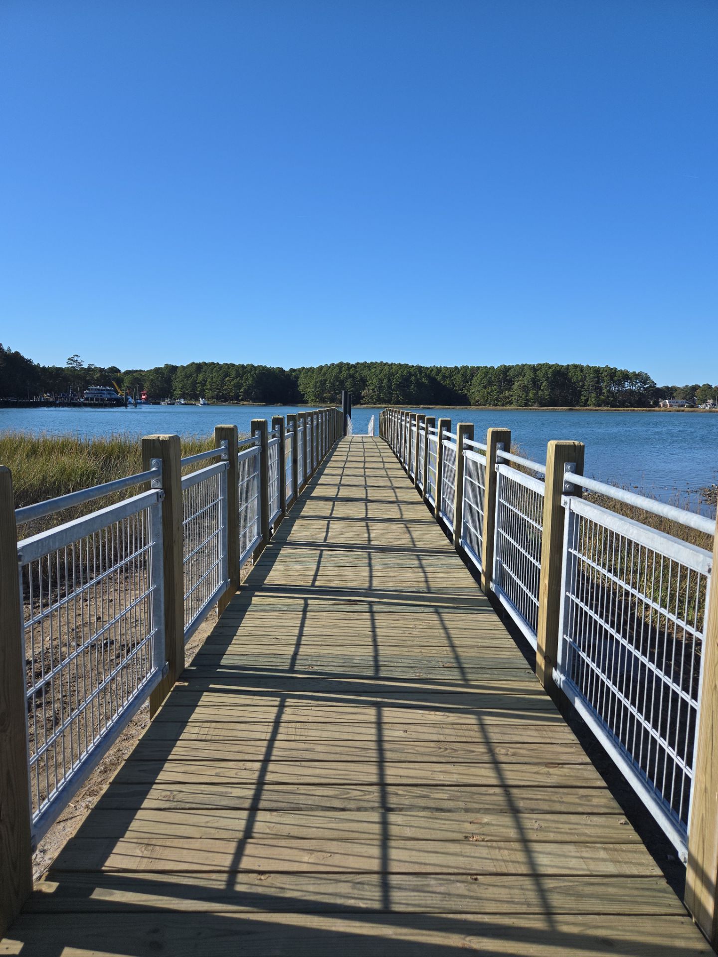 Project in Virginia Beach by Gregory Sandstrom