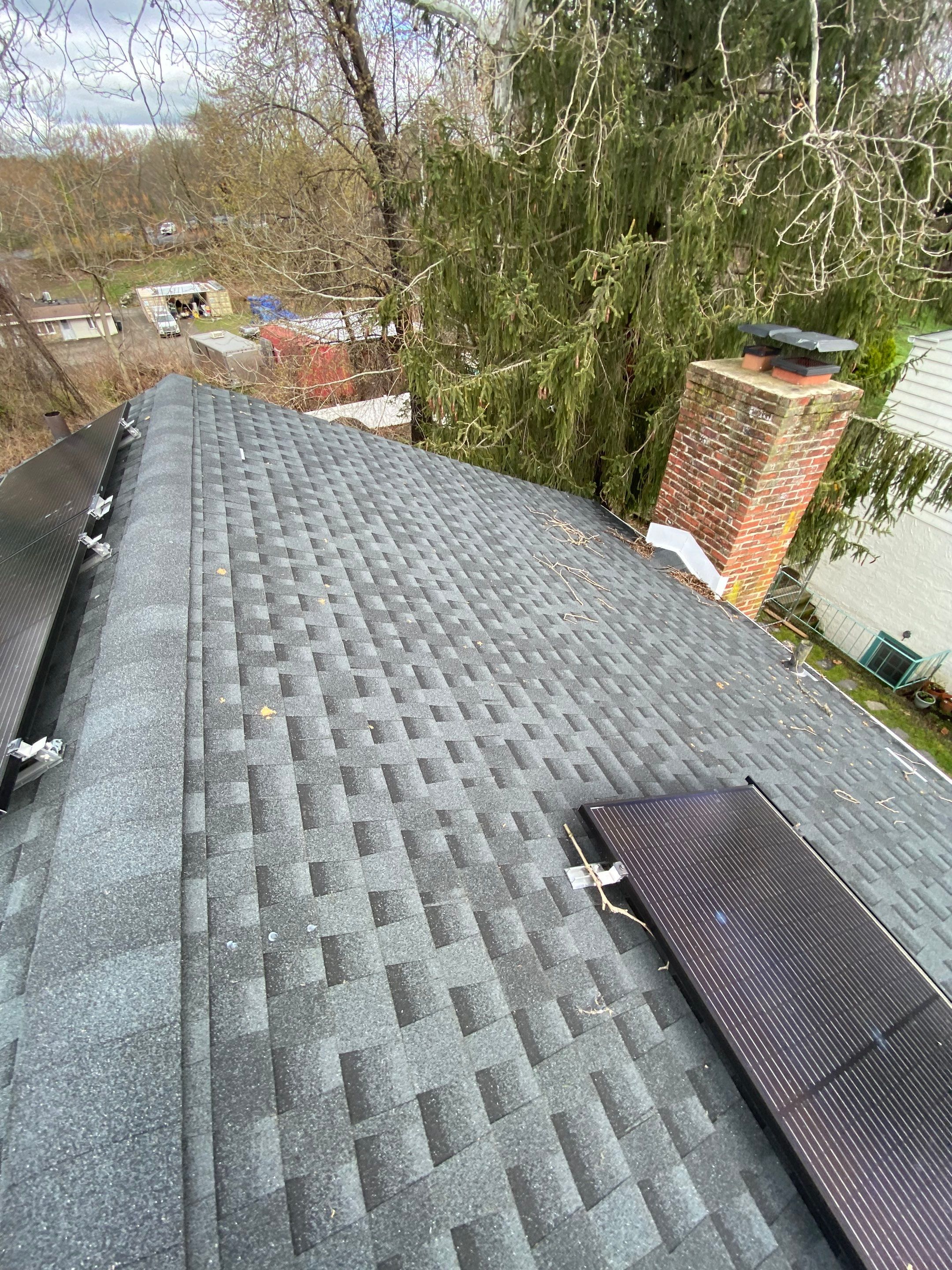 Silver Birch Shingles by Reimagine Roofing